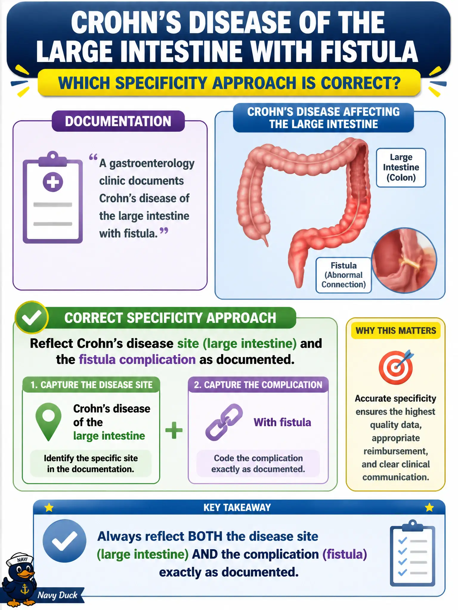 To Create an exciting colorful infographic that explains the concepts in the question: Question: A gastroenterology clinic documents Crohn’s disease of the large intestine with fistula. Which specificity approach is correct? Correct Answer: Reflect Crohn’s disease site (large intestine) and the fistula complication as documented. Put EVERY visible label in double quotes. No people. No A/B/C/D letters. In one of the four corners put a little "Navy Duck".