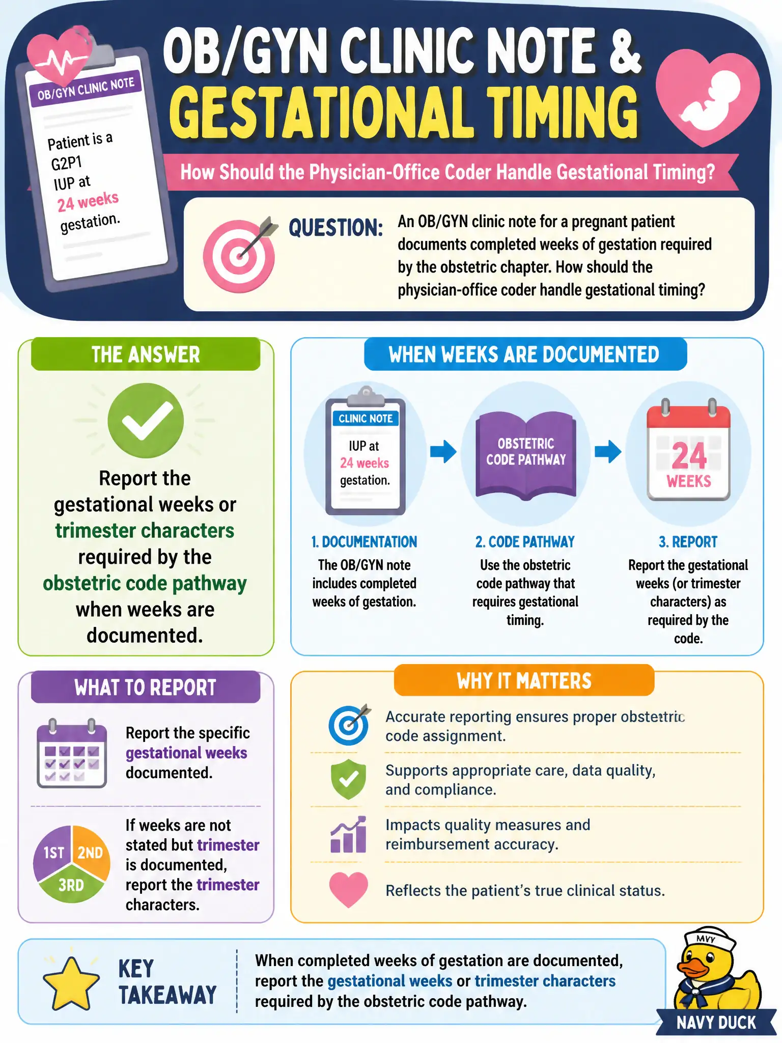 To Create an exciting colorful infographic that explains the concepts in the question: Question: An OB/GYN clinic note for a pregnant patient documents completed weeks of gestation required by the obstetric chapter. How should the physician-office coder handle gestational timing? Correct Answer: Report the gestational weeks or trimester characters required by the obstetric code pathway when weeks are documented. Put EVERY visible label in double quotes. No people. No A/B/C/D letters. In one of the four corners put a little "Navy Duck".