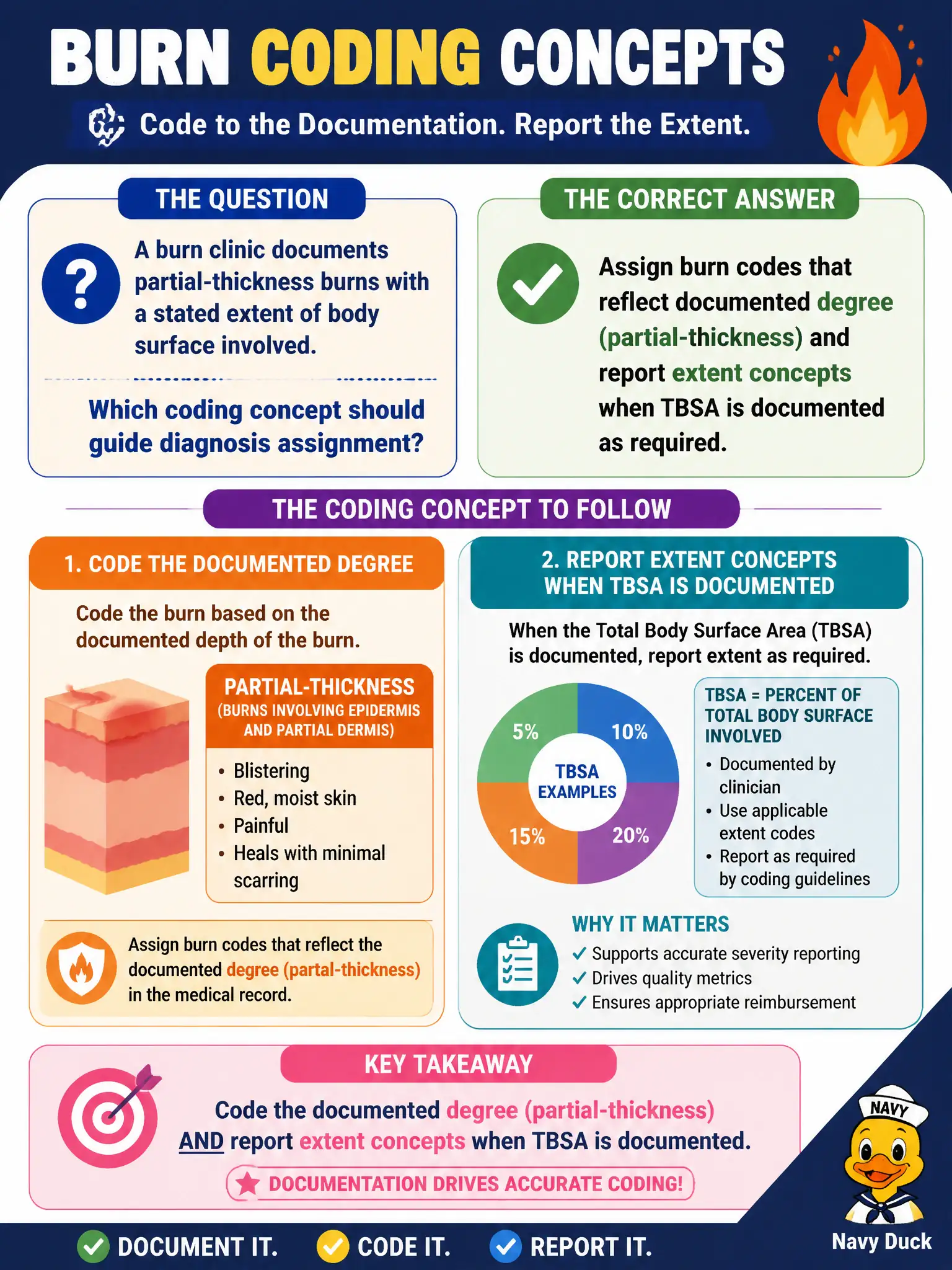 To Create an exciting colorful infographic that explains the concepts in the question: Question: A burn clinic documents partial-thickness burns with a stated extent of body surface involved. Which coding concept should guide diagnosis assignment? Correct Answer: Assign burn codes that reflect documented degree (partial-thickness) and report extent concepts when TBSA is documented as required. Put EVERY visible label in double quotes. No people. No A/B/C/D letters. In one of the four corners put a little "Navy Duck".