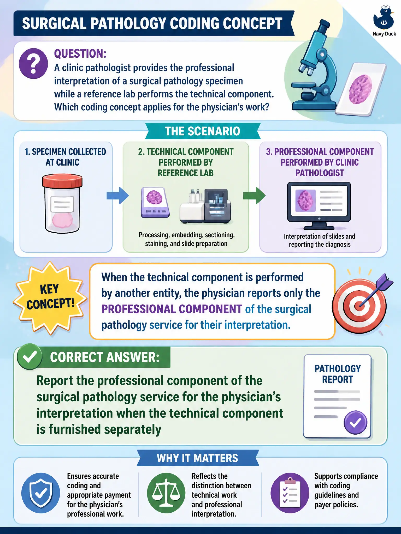 To Create an exciting colorful infographic that explains the concepts in the question: Question: A clinic pathologist provides the professional interpretation of a surgical pathology specimen while a reference lab performs the technical component. Which coding concept applies for the physician’s work? Correct Answer: Report the professional component of the surgical pathology service for the physician’s interpretation when the technical component is furnished separately Put EVERY visible label in double quotes. No people. No A/B/C/D letters. In one of the four corners put a little "Navy Duck".