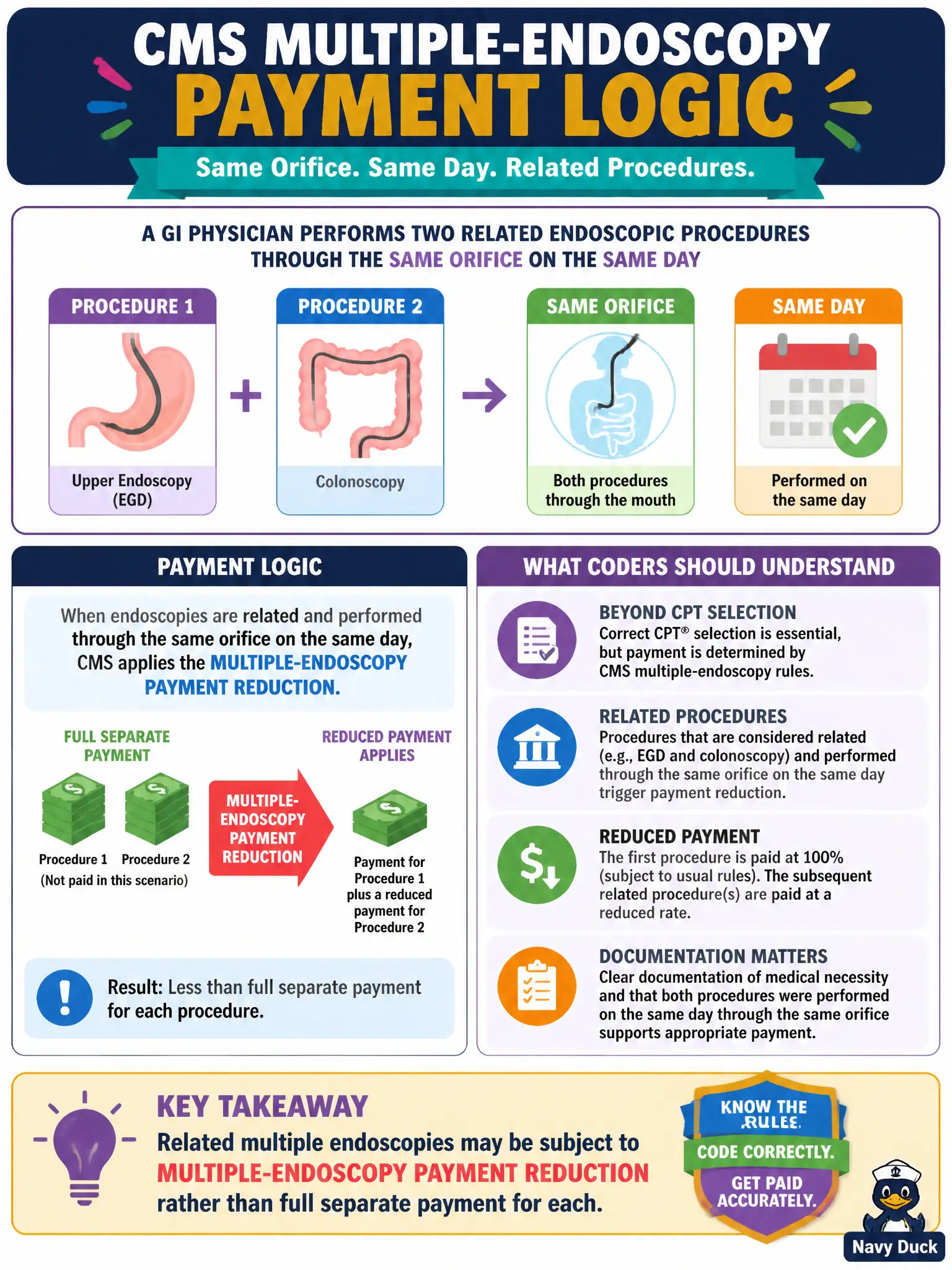 To Create an exciting colorful infographic that explains the concepts in the question: Question: A GI physician performs two related endoscopic procedures through the same orifice on the same day that fall under CMS multiple-endoscopy payment logic. Beyond correct CPT selection, what should the coder understand about payment? Correct Answer: Related multiple endoscopies may be subject to multiple-endoscopy payment reduction rather than full separate payment for each. Put EVERY visible label in double quotes. No people. No A/B/C/D letters. In one of the four corners put a little "Navy Duck".