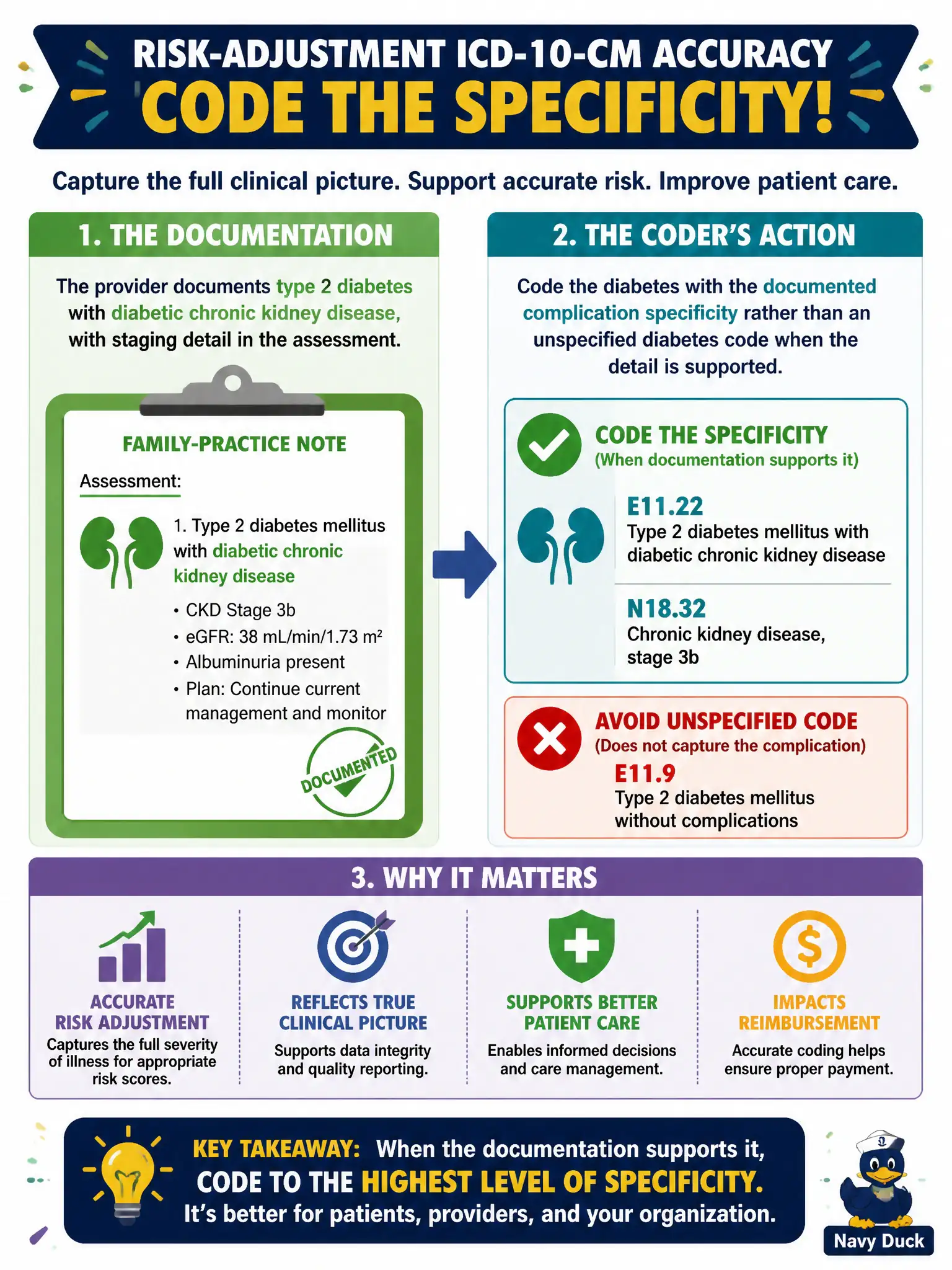 To Create an exciting colorful infographic that explains the concepts in the question: Question: A family-practice note documents type 2 diabetes with diabetic chronic kidney disease, with staging detail in the assessment. For risk-adjustment ICD-10-CM accuracy, what should the coder do? Correct Answer: Code the diabetes with the documented complication specificity rather than an unspecified diabetes code when the detail is supported Put EVERY visible label in double quotes. No people. No A/B/C/D letters. In one of the four corners put a little "Navy Duck".