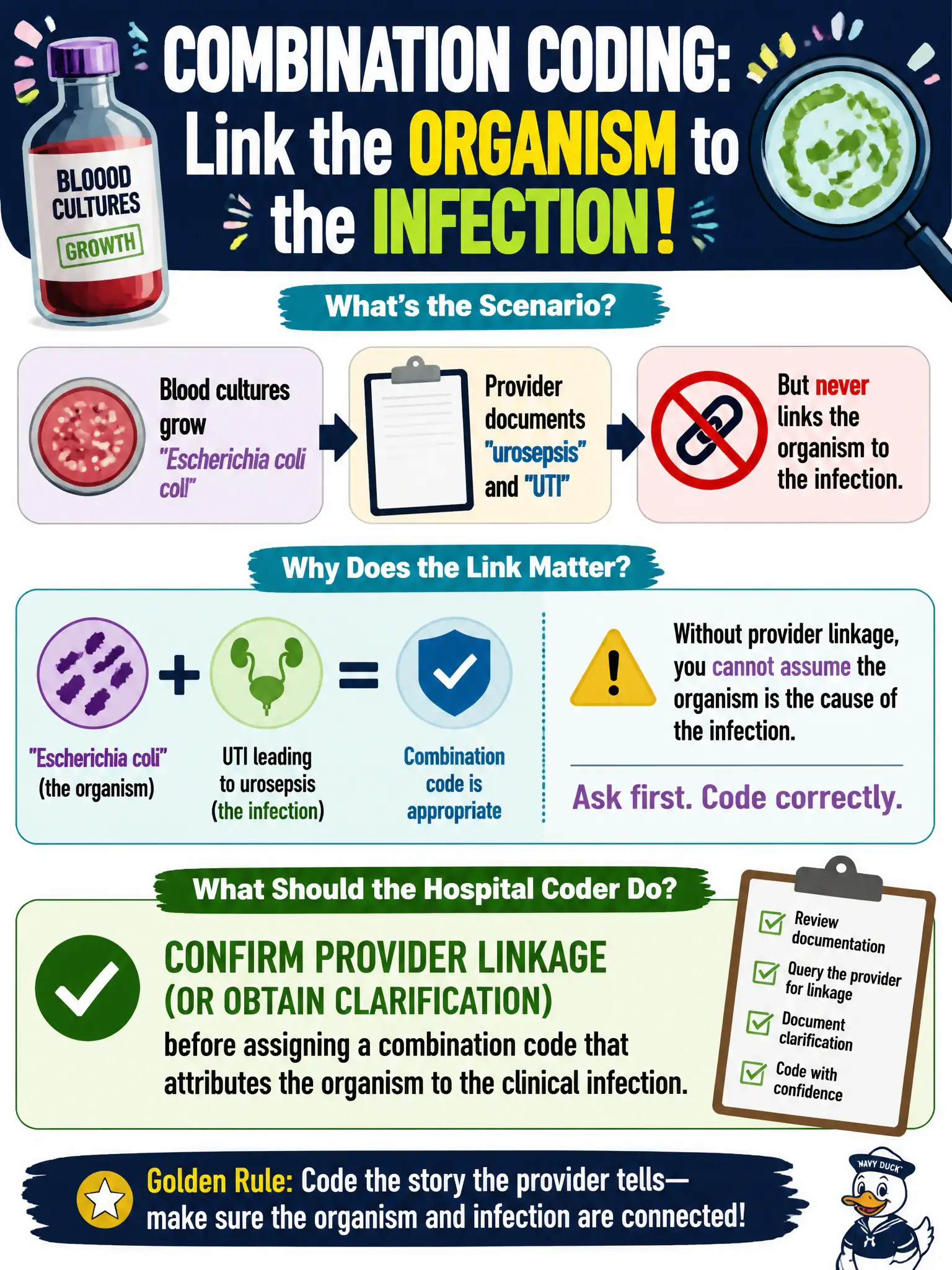 To Create an exciting colorful infographic that explains the concepts in the question: Question: Blood cultures grow Escherichia coli, and the provider documents 'urosepsis' and 'UTI' but never links the organism to the infection. For combination coding of the infection with the organism, what should the hospital coder do? Correct Answer: Confirm provider linkage (or obtain clarification) before assigning a combination code that attributes the organism to the clinical infection Put EVERY visible label in double quotes. No people. No A/B/C/D letters. In one of the four corners put a little "Navy Duck".