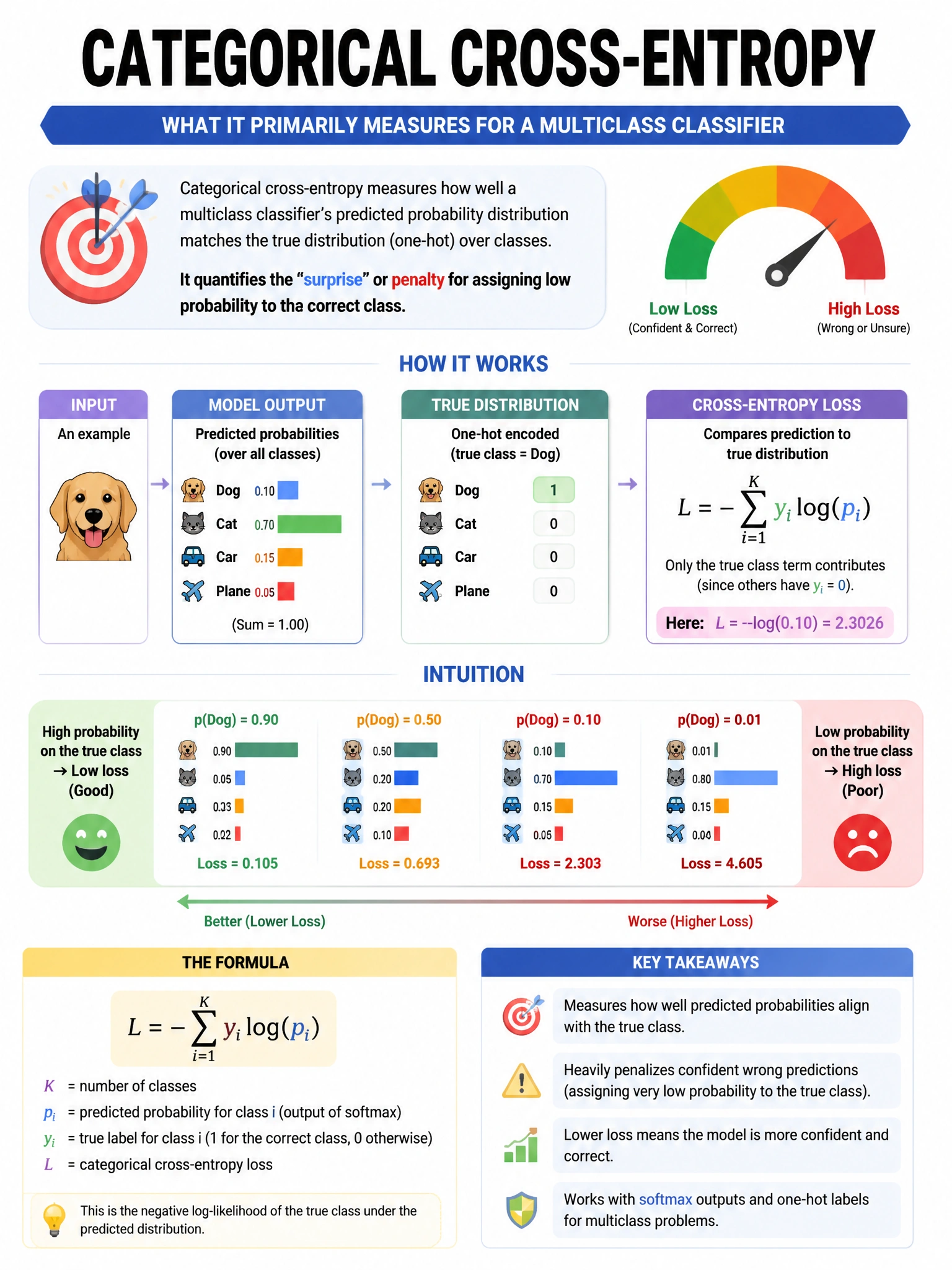 Portrait educational infographic explaining: What does categorical cross-entropy primarily measure for a multiclass classifier?. Clear labeled diagram of the key concept.