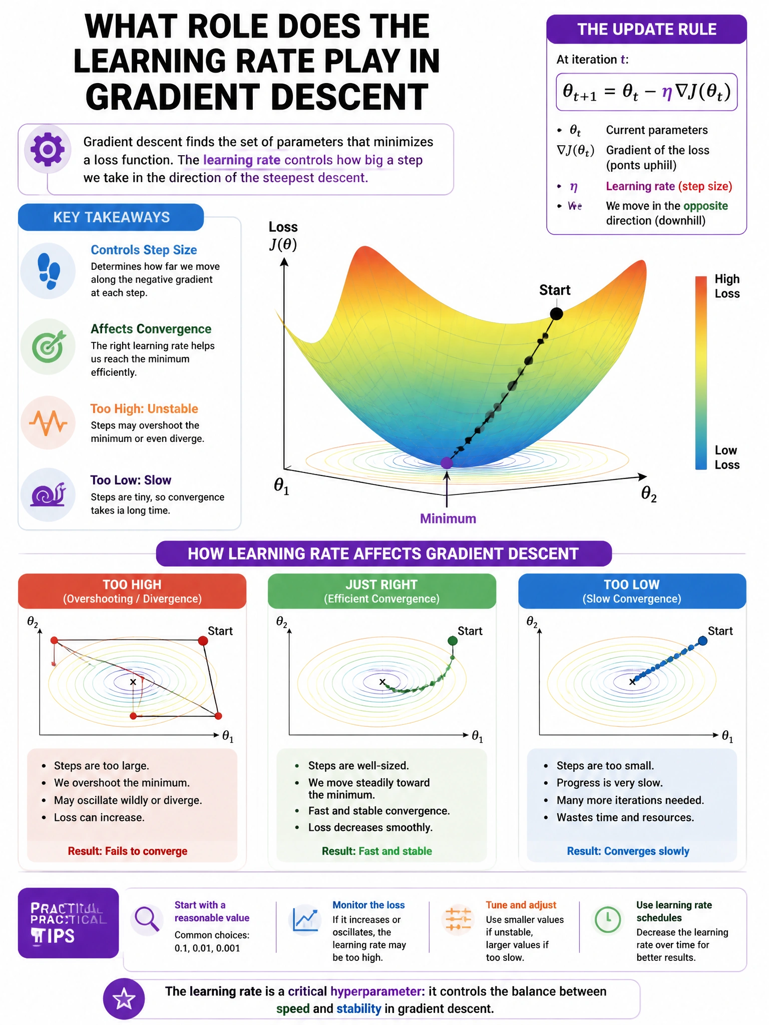 Portrait educational infographic explaining: What role does the learning rate play in gradient descent?. Clear labeled diagram of the key concept.