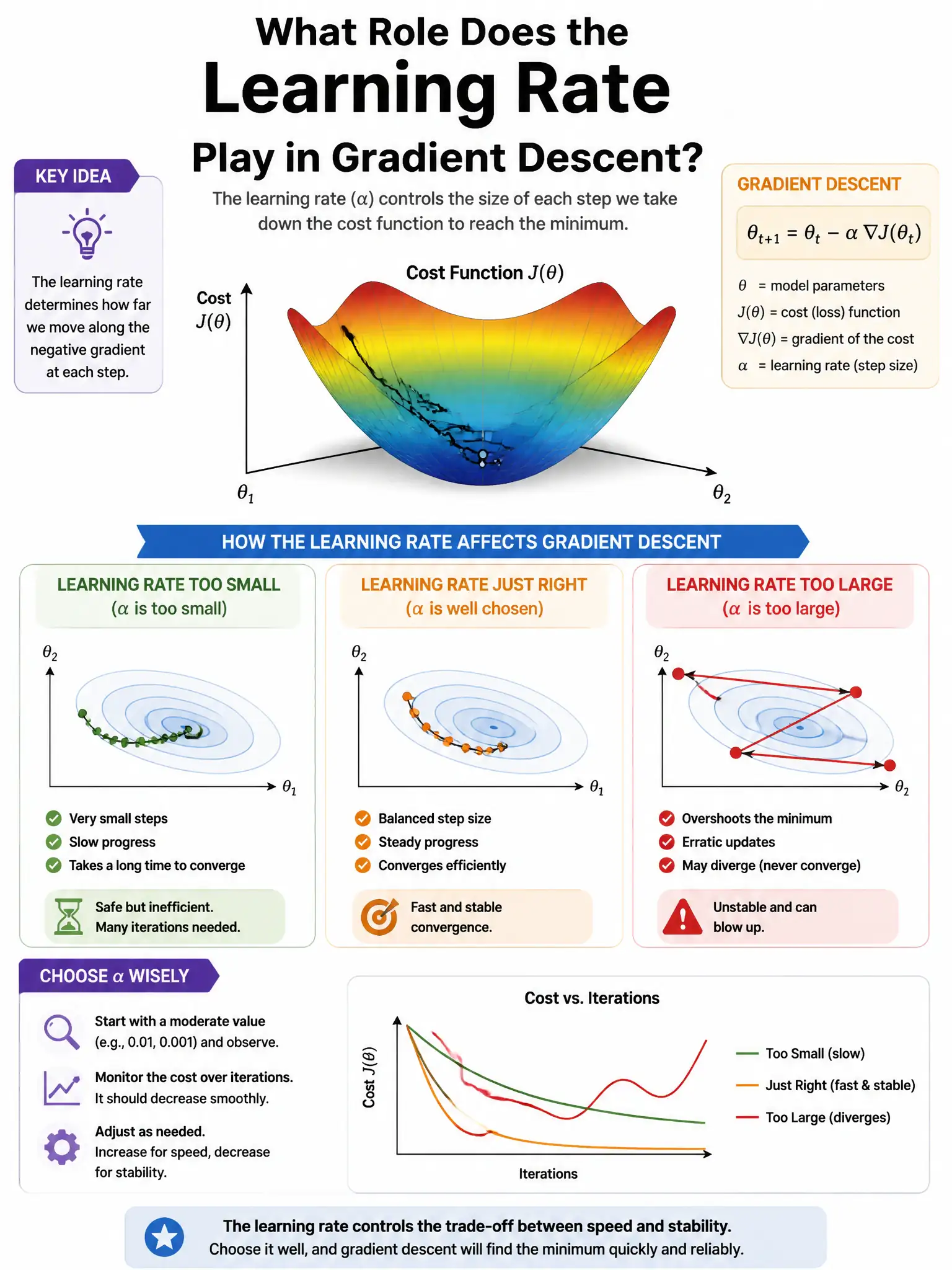 Portrait educational infographic explaining: What role does the learning rate play in gradient descent? (scenario 26). Clear labeled diagram of the key concept.