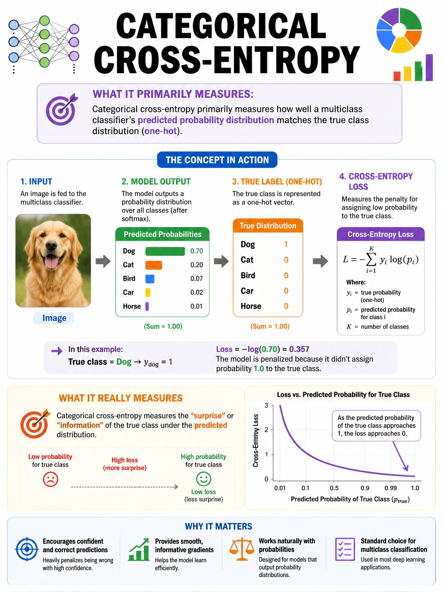 Portrait educational infographic explaining: What does categorical cross-entropy primarily measure for a multiclass classifier? (scenario 45). Clear labeled diagram of the key concept.