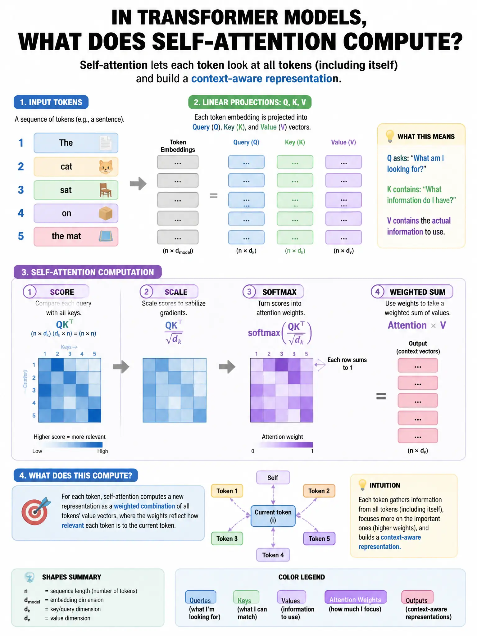 Portrait educational infographic explaining: In transformer models, what does self-attention compute? (scenario 49). Clear labeled diagram of the key concept.