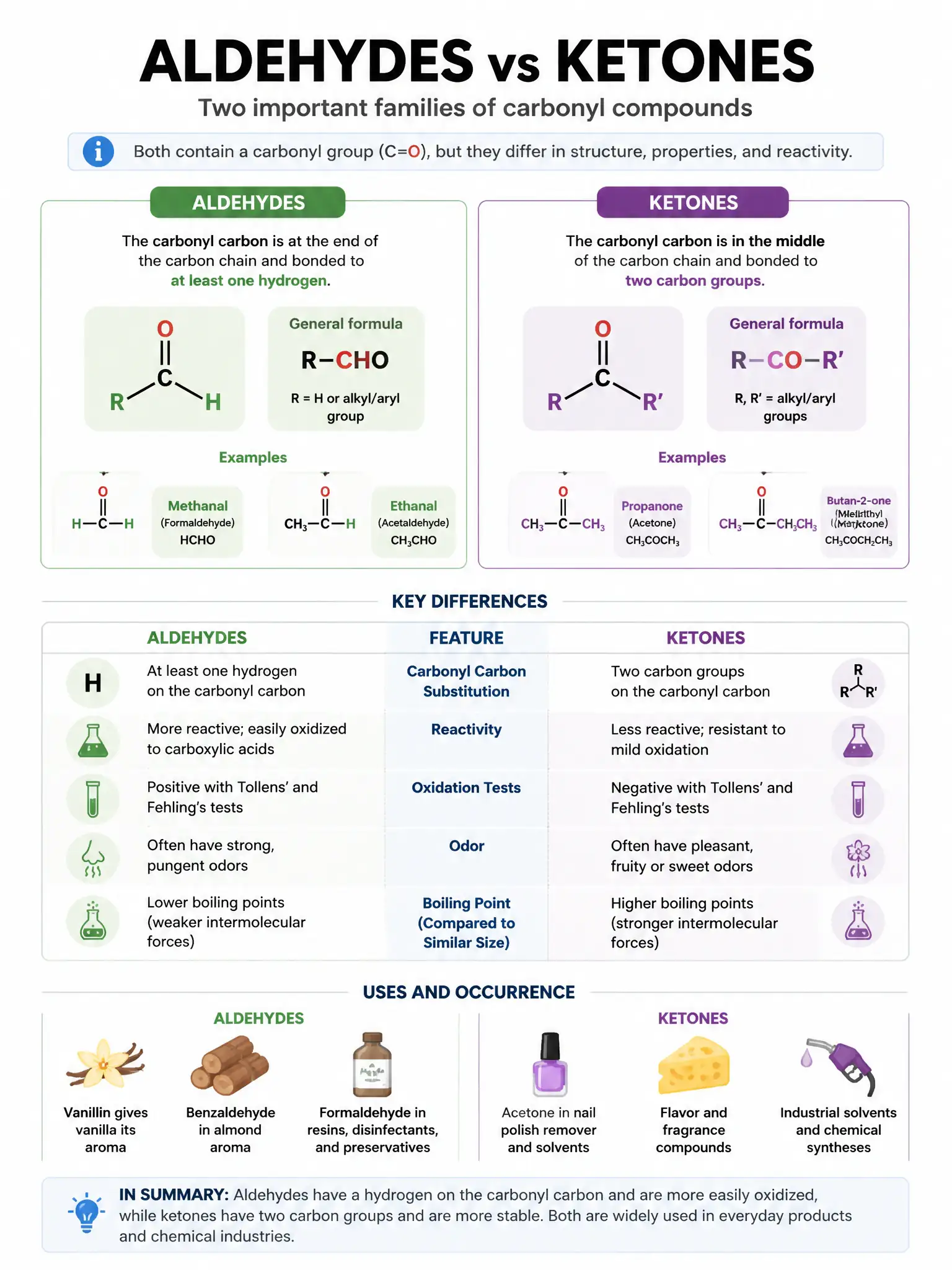 Educational infographic 1024x768 batch customid. CCAO-F q231.