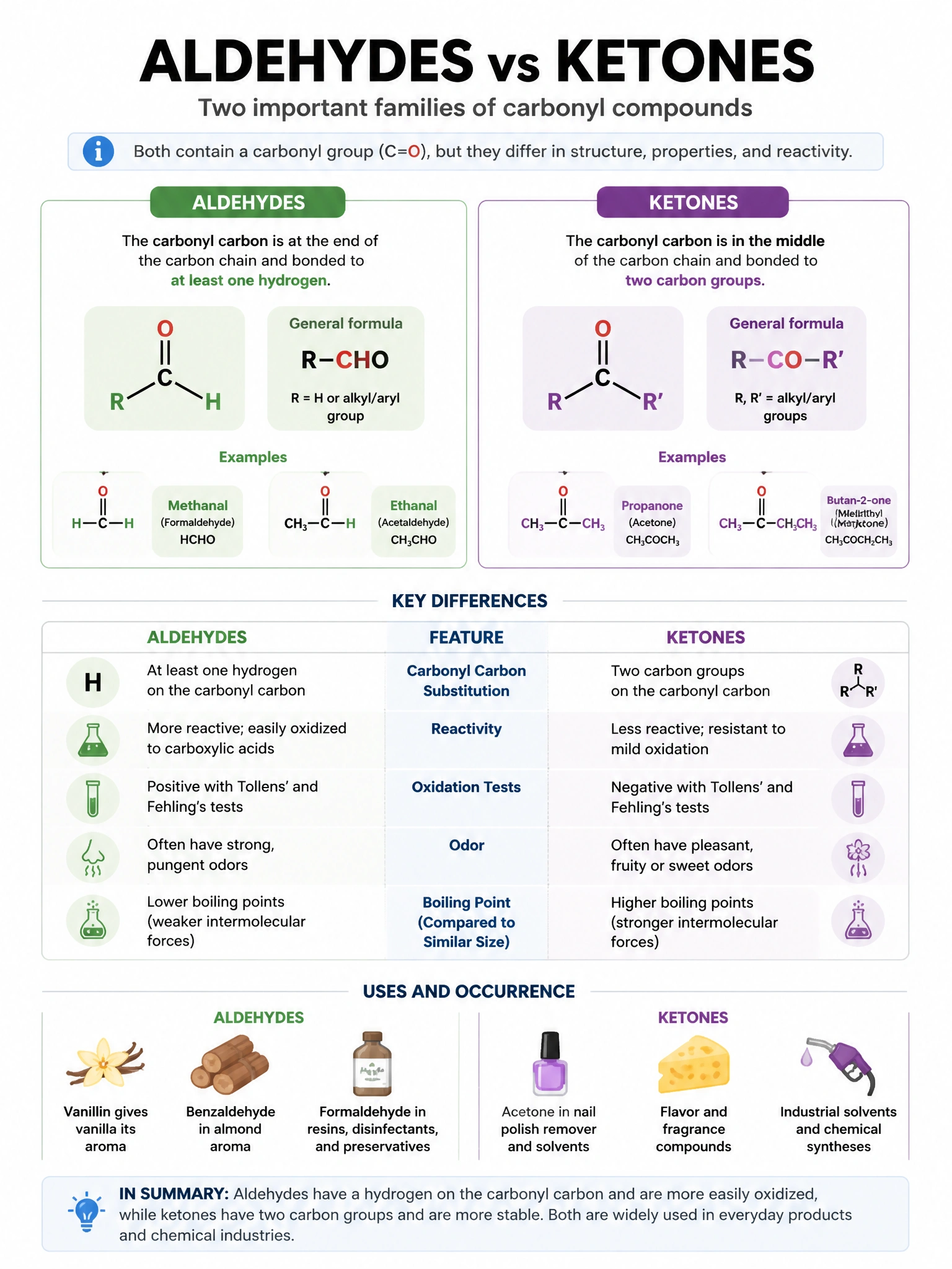 Educational infographic 1024x768 batch customid. CCAO-F q231.