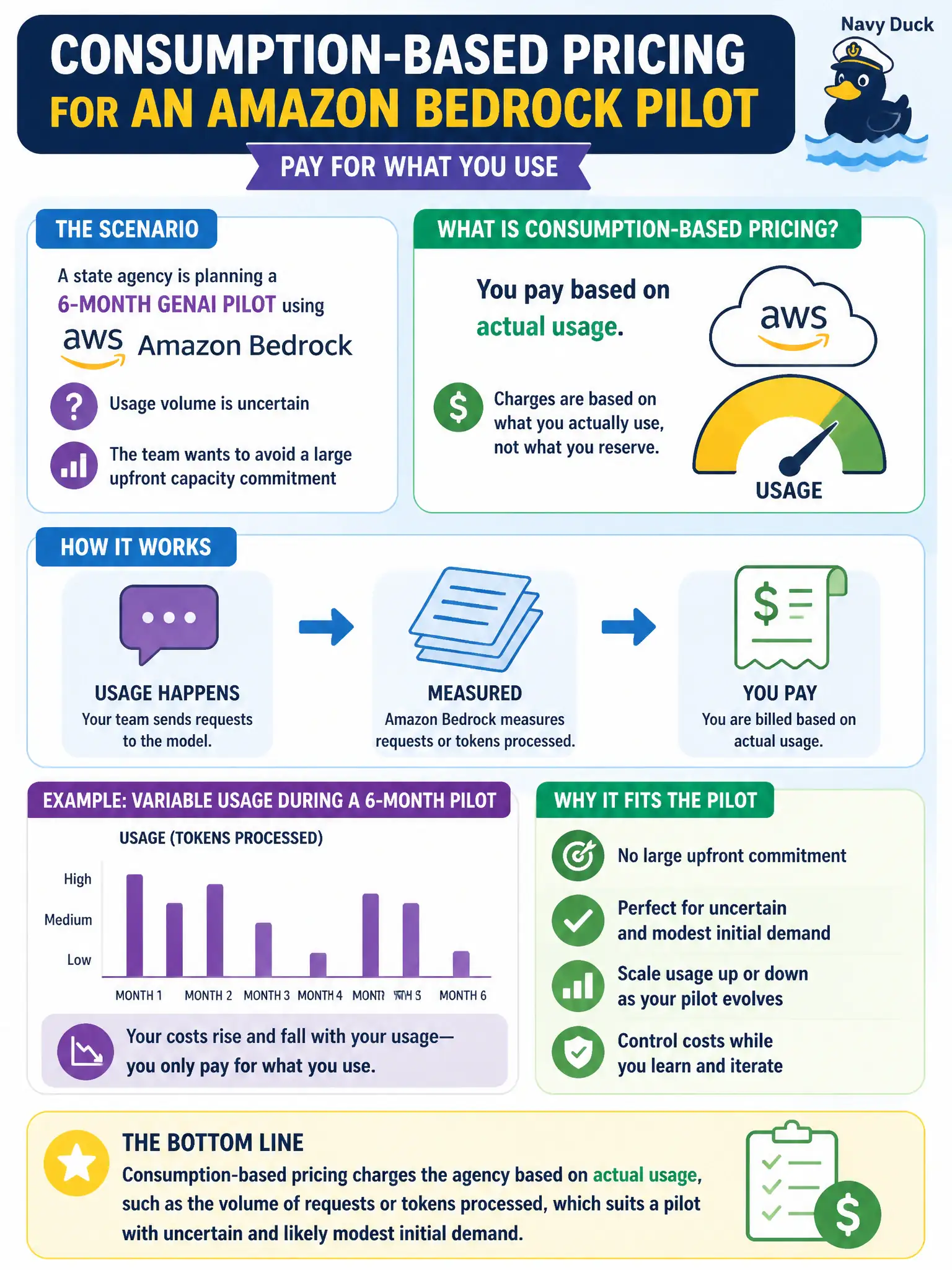 To Create an exciting colorful infographic that explains the concepts in the question: Question: A state agency's finance team is estimating the budget for a six-month GenAI pilot that will use Amazon Bedrock, priced on a consumption basis. The pilot's exact usage volume is uncertain, and the team wants a pricing structure that avoids a large upfront capacity commitment. Which statement correctly describes what consumption-based pricing means for the agency's budget planning? Correct Answer: Consumption-based pricing charges the agency based on actual usage, such as the volume of requests or tokens processed, which suits a pilot with uncertain and likely modest initial demand. Put EVERY visible label in double quotes. No people. No A/B/C/D letters. In one of the four corners put a little "Navy Duck".