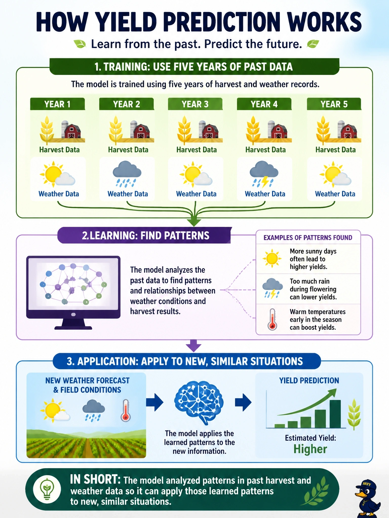 To Create an exciting colorful infographic that explains the concepts in the question: Question: A cooperative's data team explains that its yield-prediction tool was built by "training the model on five years of harvest and weather records." What does this process most accurately describe? Correct Answer: The model analyzed patterns in past harvest and weather data so it can apply those learned patterns to new, similar situations. Put EVERY visible label in double quotes. No people. No A/B/C/D letters. In one of the four corners put a little "Navy Duck".