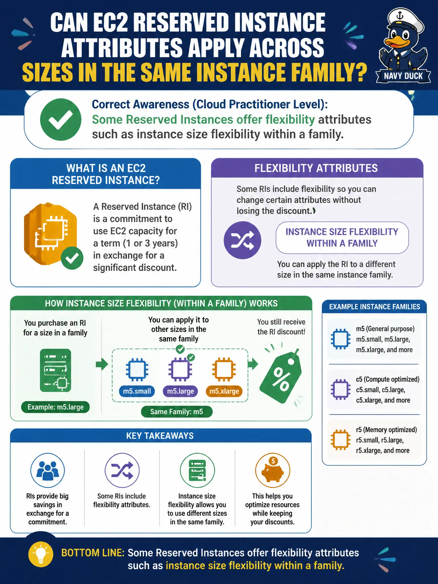 To Create an exciting colorful infographic that explains the concepts in the question: Question: After buying EC2 Reserved Instances for a web tier, operations asks whether some RI attributes can apply across sizes in the same instance family. What awareness is correct at Cloud Practitioner depth? Correct Answer: Some Reserved Instances offer flexibility attributes such as instance size flexibility within a family Put EVERY visible label in double quotes. No people. No A/B/C/D letters. In one of the four corners put a little "Navy Duck".