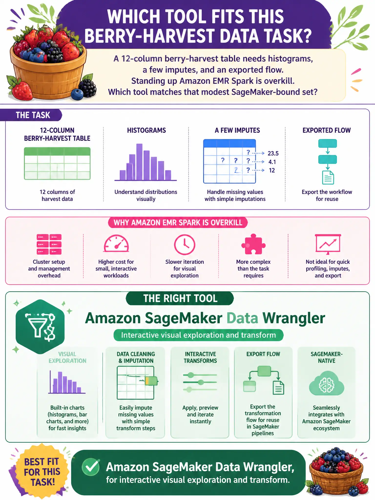 To Create an exciting colorful infographic that explains the concepts in the question: Question: A 12-column berry-harvest table needs histograms, a few imputes, and an exported flow. Standing up Amazon EMR Spark is overkill. Which tool matches that modest SageMaker-bound set? Correct Answer: Amazon SageMaker Data Wrangler, for interactive visual exploration and transform. Put EVERY visible label in double quotes. No people. No A/B/C/D letters. In one of the four corners put a little "Navy Duck".