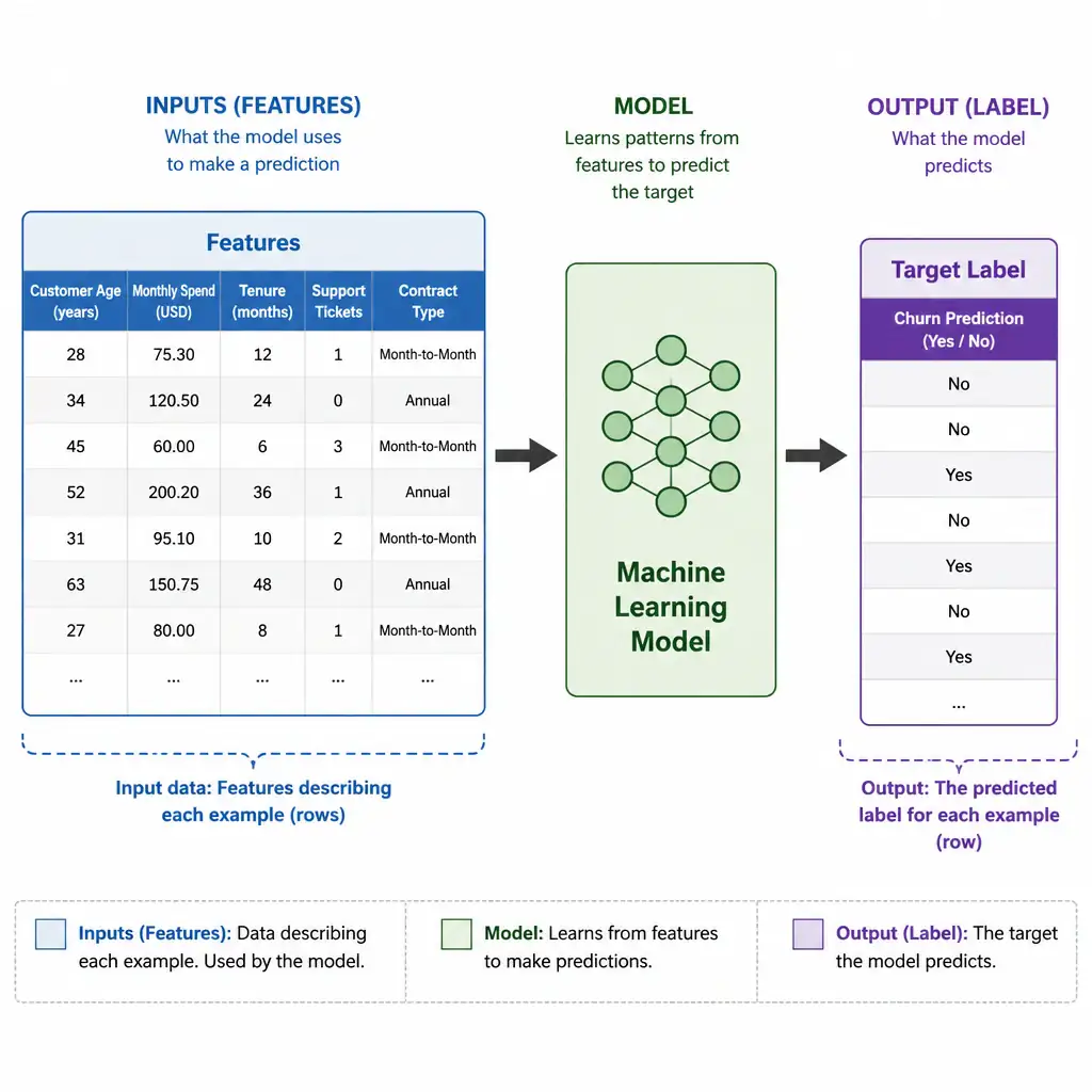 A diagram showing a spreadsheet-style table with columns labeled as 'Features' (e.g., Customer Age, Monthly Spend) leading into a machine learning model block, which then outputs a 'Target Label' (e.g., Churn prediction). The visual should clearly isolate inputs (features) and outputs (labels).
