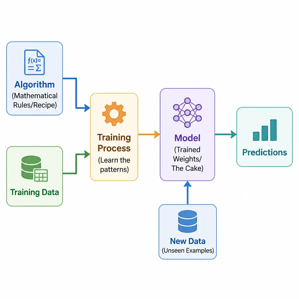 A conceptual flowchart showing the relationship between Algorithm, Data, and Model. On the left, show "Algorithm (Mathematical Rules/Recipe)" and "Training Data" both pointing to a training process block. The output of this training block is labeled "Model (Trained Weights/The Cake)", which then takes in "New Data" to produce "Predictions".