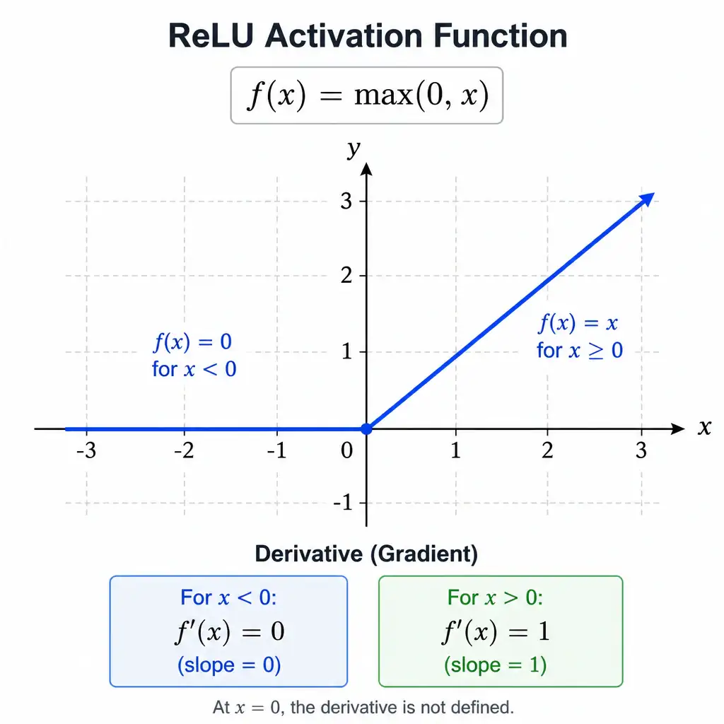 A graph of the ReLU activation function showing the horizontal line at y=0 for x < 0, and a linear diagonal line at y=x for x >= 0. The graph should display the formula f(x) = max(0, x) and indicate the derivative (gradient) on both sides: derivative is 0 for negative inputs, and derivative is 1 for positive inputs.