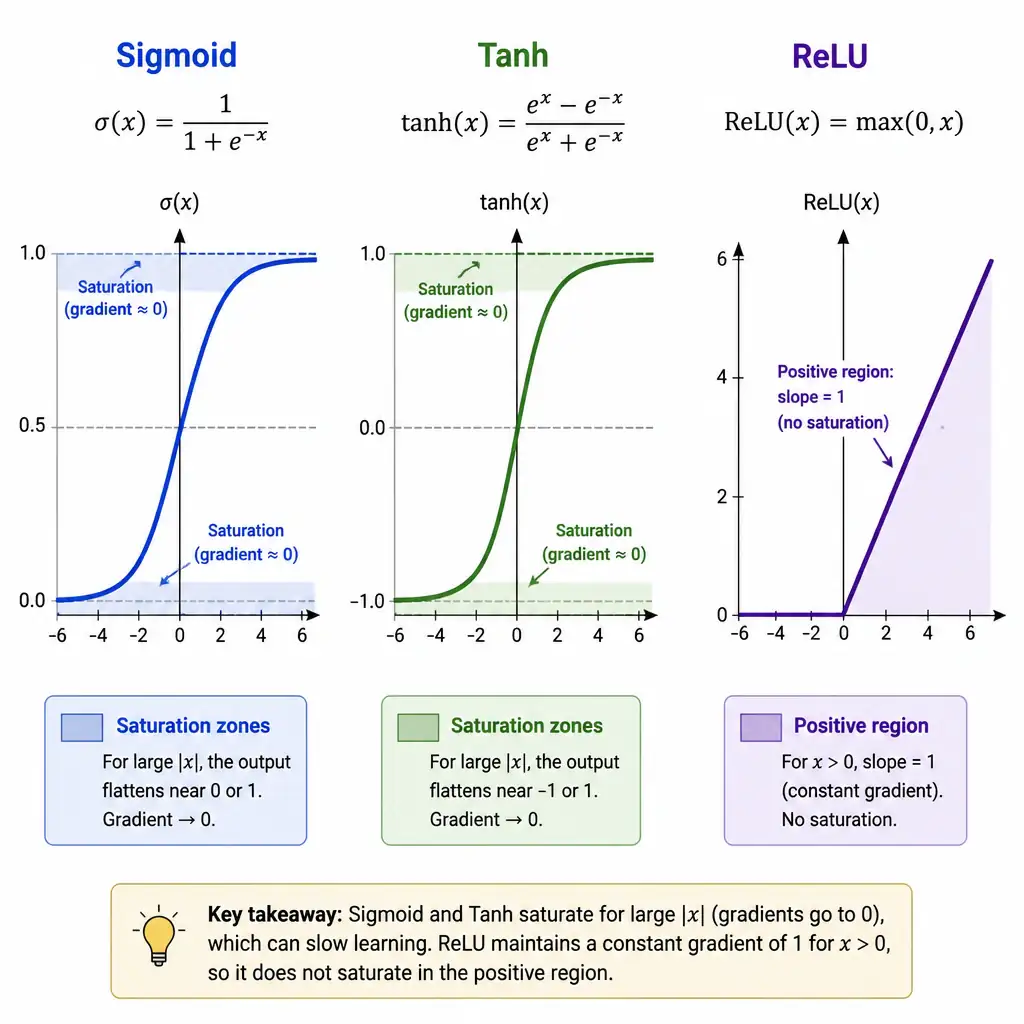 Plots of Sigmoid, Tanh, and ReLU side-by-side. Highlight the saturation zones (where the curve goes flat and the gradient is close to 0) on the Sigmoid and Tanh graphs. In contrast, highlight the positive region of the ReLU graph showing a constant slope of 1 with no saturation.
