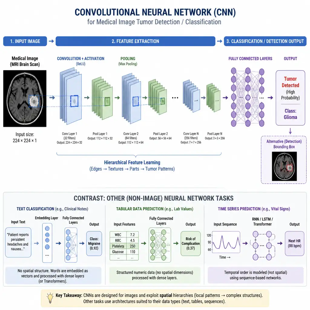 Diagram illustrating the processing flow of a Convolutional Neural Network (CNN) taking a medical image as input, showing how features are extracted through convolutional and pooling layers, leading to a tumor classification/detection output, contrasted with other non-image neural network tasks.