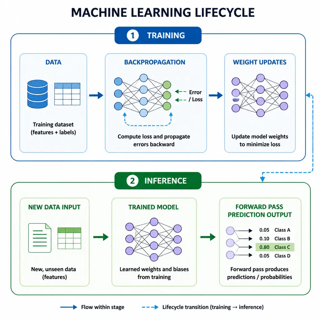 Flow diagram showing the machine learning lifecycle split into two distinct stages: Training (data, backpropagation, and weight updates) and Inference (trained model, new data input, and forward pass prediction output).