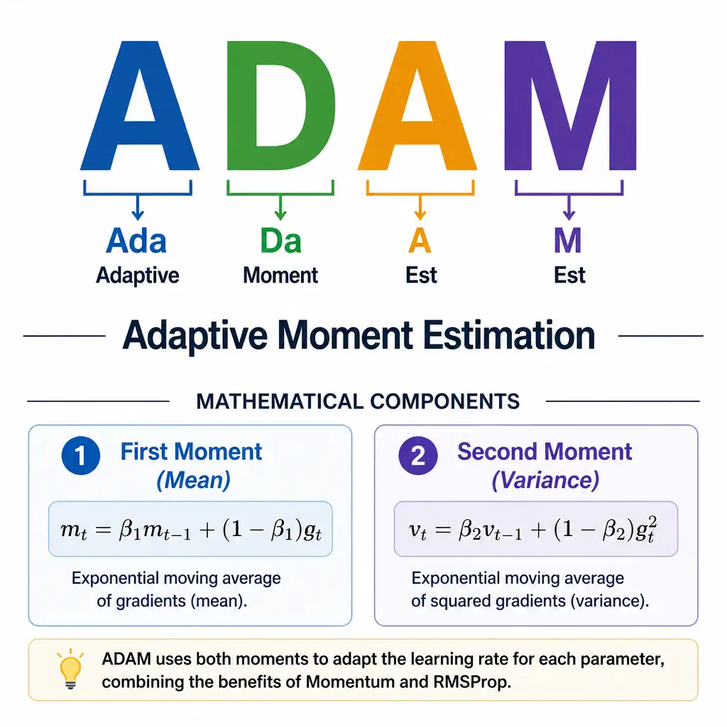 A clear text graphic displaying the word "ADAM" with the letters highlighted (Ada-M-Est) pointing to the full name "Adaptive Moment Estimation", with brief callouts pointing to "First Moment (Mean)" and "Second Moment (Variance)" as its mathematical components.