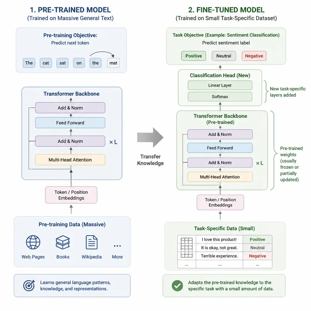 A schematic comparison showing the transition from a pre-trained model (trained on massive general text) to a fine-tuned model (trained on a small task-specific dataset with classification layers).