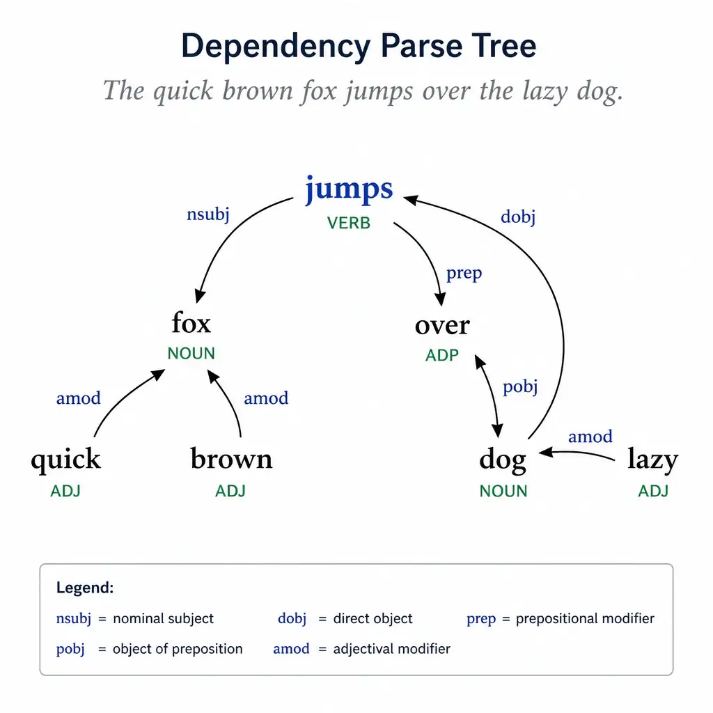A visual representation of a dependency parse tree for a simple sentence, showing arrows labeled with syntactic dependencies connecting nouns and modifiers to the main verb.