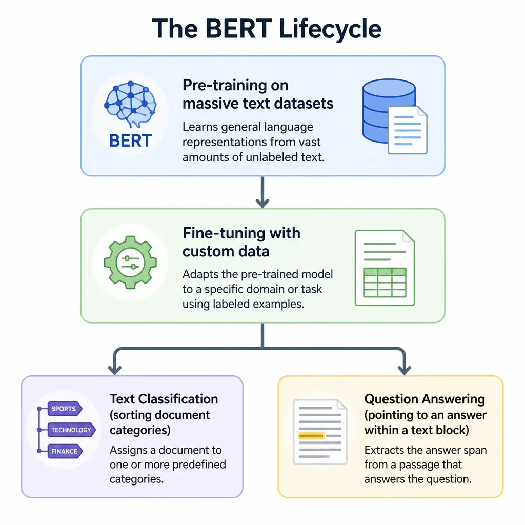 A pipeline diagram showing the BERT lifecycle. It starts with 'Pre-training on massive text datasets', which transitions to 'Fine-tuning with custom data'. Below the fine-tuning step, show branch lines pointing to two core tasks: 'Text Classification' (sorting document categories) and 'Question Answering' (pointing to an answer within a text block).