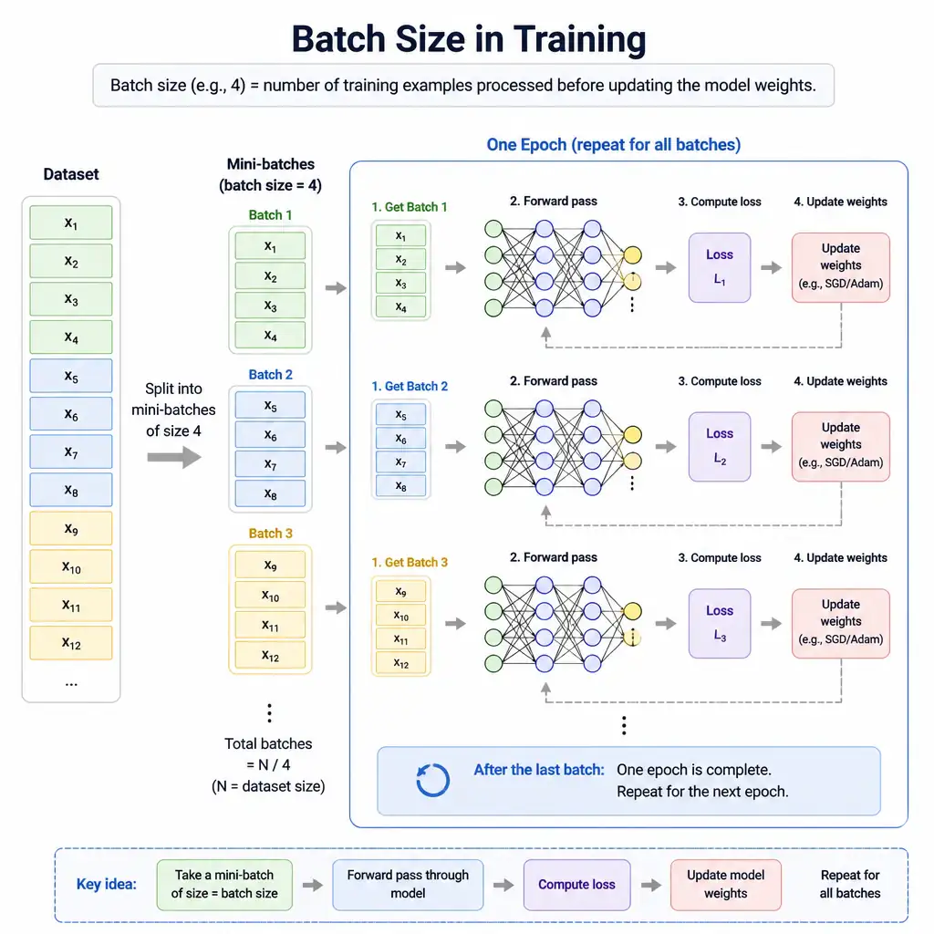 A diagram illustrating batch size in training. It shows a dataset split into multiple groups (mini-batches) of a specific size (e.g., batch size = 4). Each batch passes through a neural network model, computes a loss, and triggers a weight update, repeating this sequence for all batches to complete one epoch.