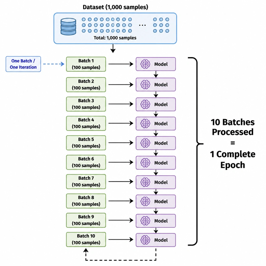 A flowchart diagram showing a dataset of 1,000 samples. The dataset is divided into 10 batches of 100 samples. The diagram shows the model iterating through Batch 1, Batch 2, ..., up to Batch 10. A bracket wraps around all 10 batches with a bold label: '10 Batches Processed = 1 Complete Epoch', clearly distinguishing a single batch/iteration from an epoch.