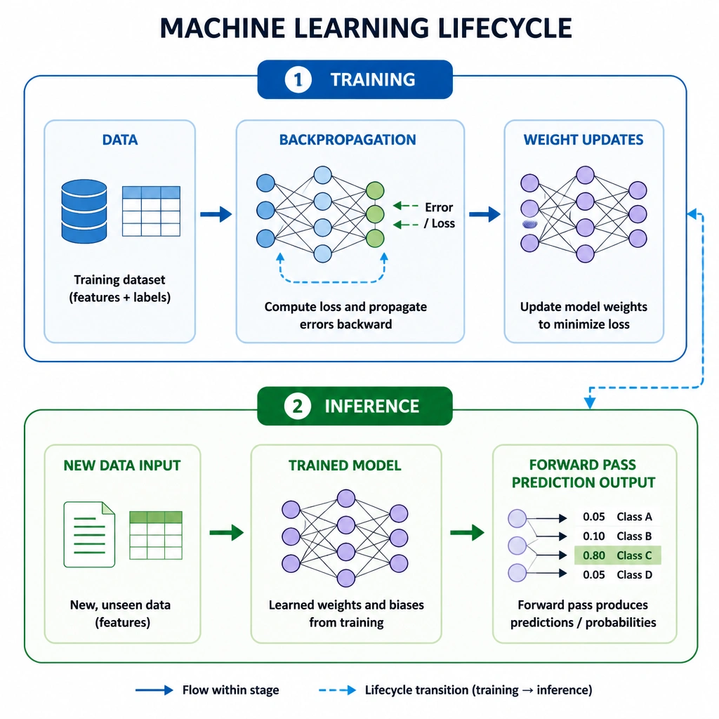 Flow diagram showing the machine learning lifecycle split into two distinct stages: Training (data, backpropagation, and weight updates) and Inference (trained model, new data input, and forward pass prediction output).