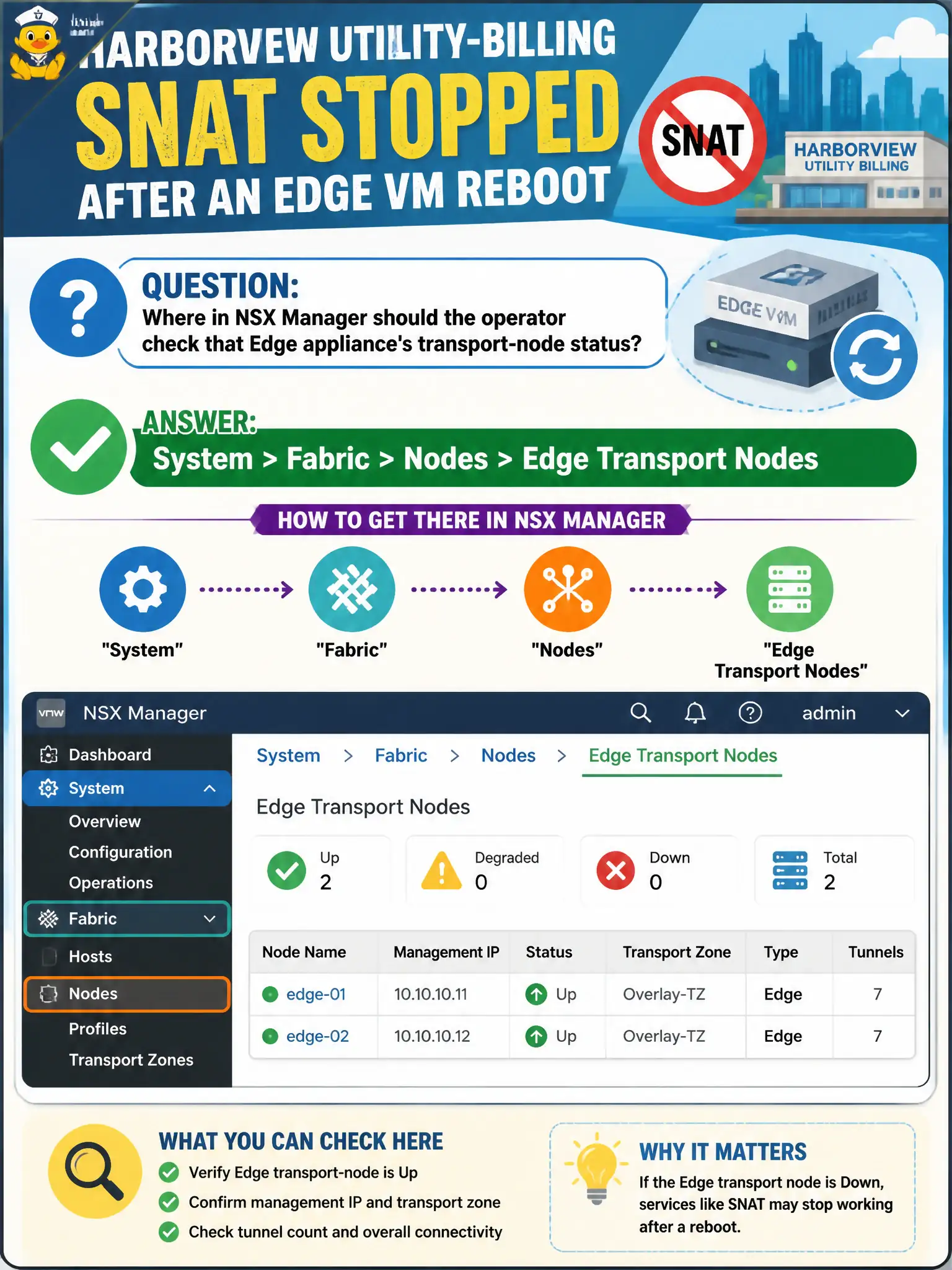 To Create an exciting colorful infographic that explains the concepts in the question: Question: Harborview utility-billing SNAT stopped after an Edge VM reboot. Where in NSX Manager should the operator check that Edge appliance's transport-node status? Correct Answer: System > Fabric > Nodes > Edge Transport Nodes Put EVERY visible label in double quotes. No people. No A/B/C/D letters. In one of the four corners put a little "Navy Duck".