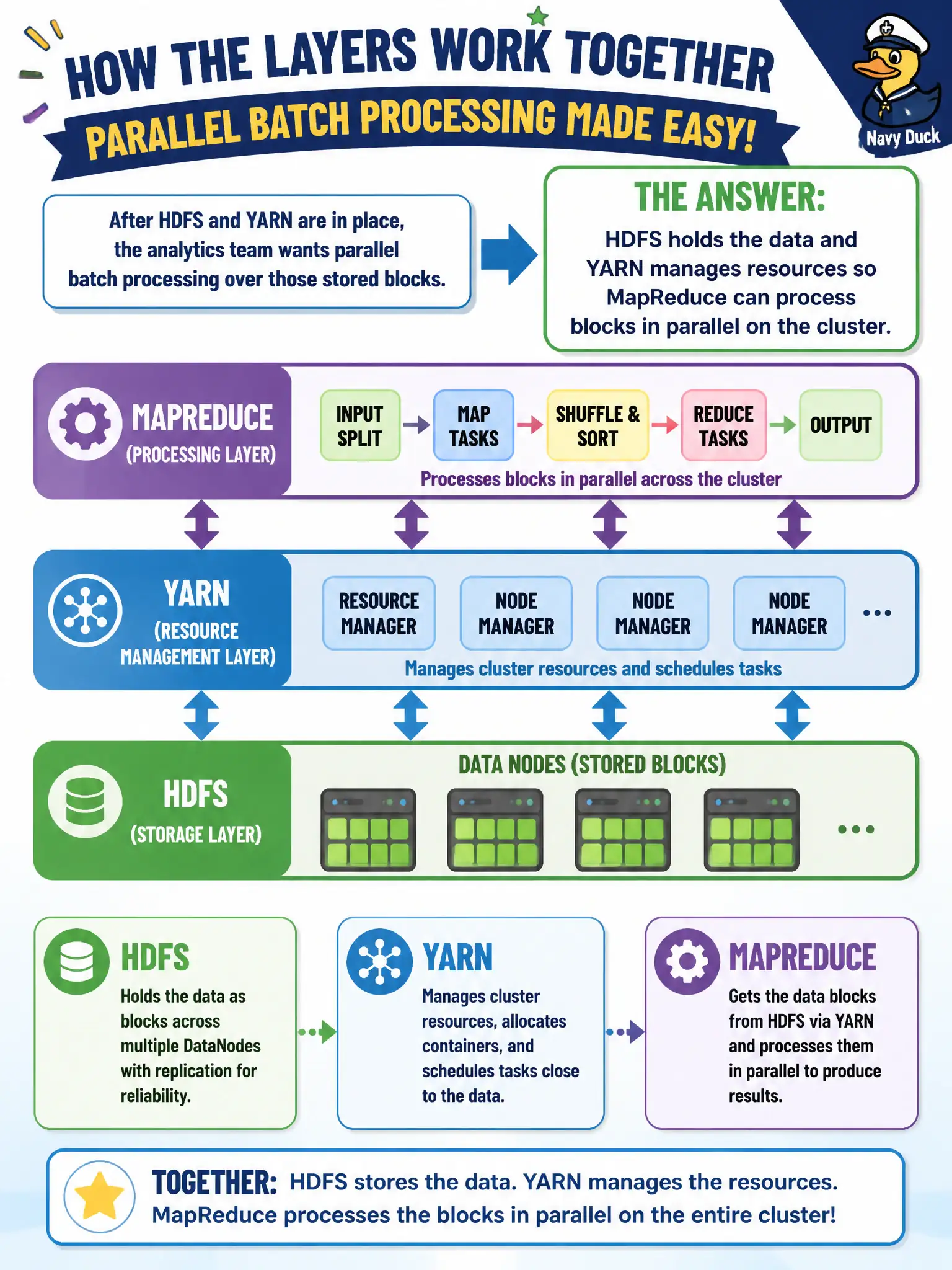 To Create an exciting colorful infographic that explains the concepts in the question: Question: After HDFS and YARN are in place, the analytics team wants parallel batch processing over those stored blocks. How do the layers relate? Correct Answer: HDFS holds the data and YARN manages resources so MapReduce can process blocks in parallel on the cluster. Put EVERY visible label in double quotes. No people. No A/B/C/D letters. In one of the four corners put a little "Navy Duck".