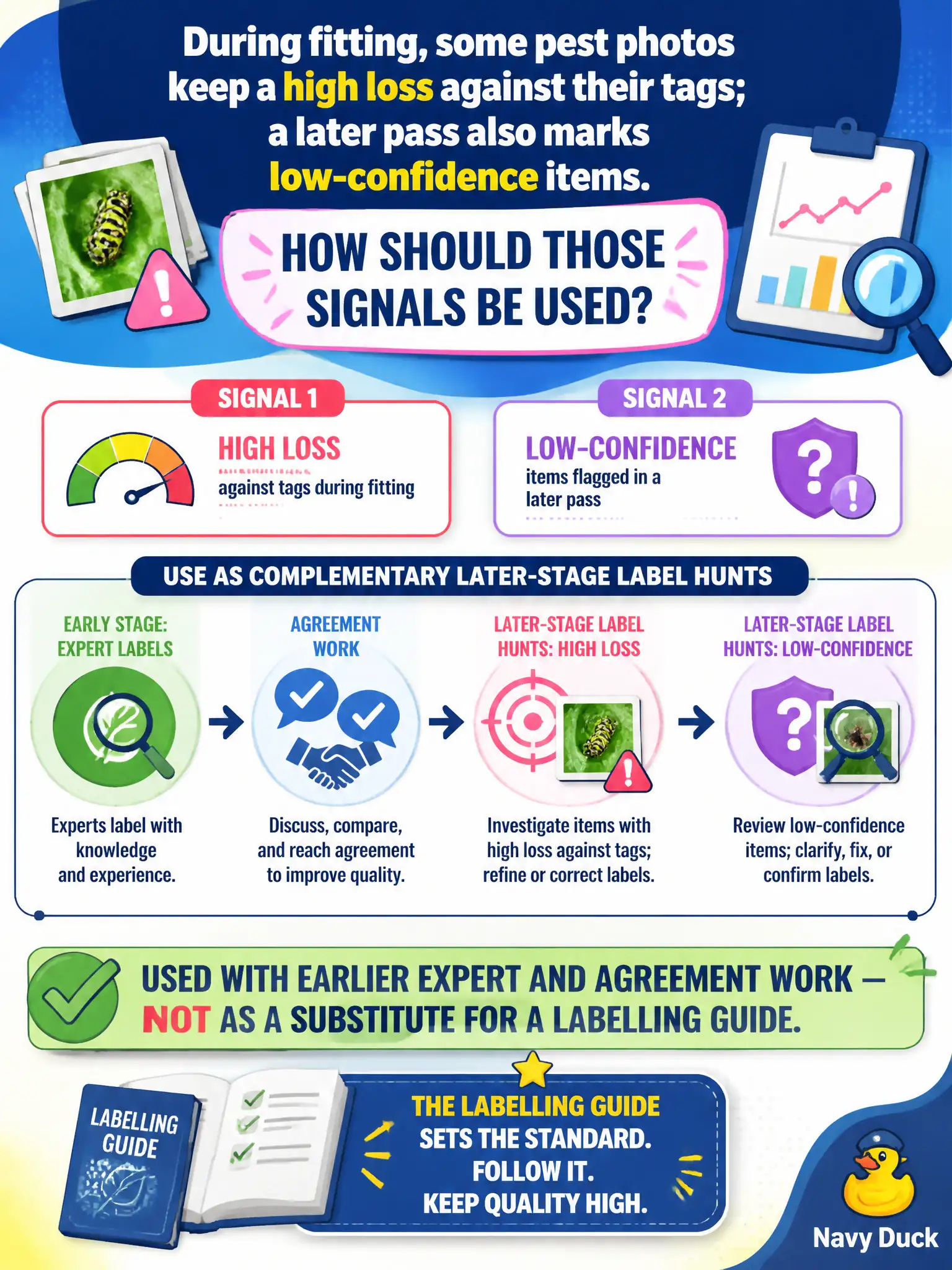 To Create an exciting colorful infographic that explains the concepts in the question: Question: During fitting, some pest photos keep a high loss against their tags; a later pass also marks low-confidence items. How should those signals be used? Correct Answer: As complementary later-stage label hunts, used with earlier expert and agreement work — not as a substitute for a labelling guide. Put EVERY visible label in double quotes. No people. No A/B/C/D letters. In one of the four corners put a little "Navy Duck".