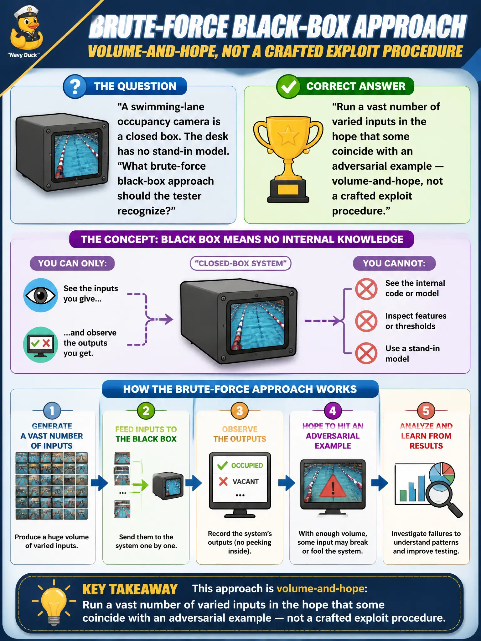 To Create an exciting colorful infographic that explains the concepts in the question: Question: A swimming-lane occupancy camera is a closed box. The desk has no stand-in model. What brute-force black-box approach should the tester recognize? Correct Answer: Run a vast number of varied inputs in the hope that some coincide with an adversarial example — volume-and-hope, not a crafted exploit procedure. Put EVERY visible label in double quotes. No people. No A/B/C/D letters. In one of the four corners put a little "Navy Duck".