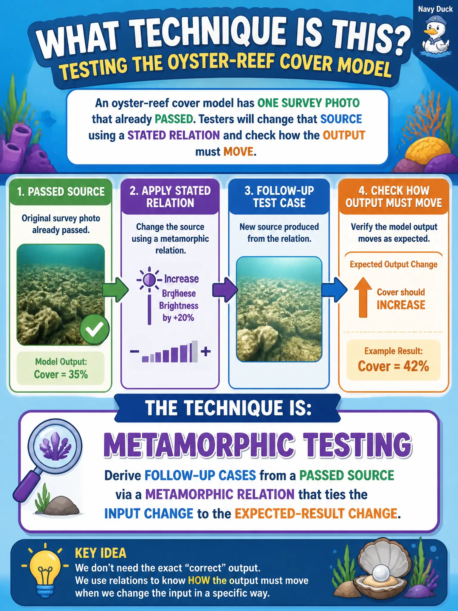 To Create an exciting colorful infographic that explains the concepts in the question: Question: An oyster-reef cover model has one survey photo that already passed. Testers will change that source using a stated relation and check how the output must move. What technique is that? Correct Answer: Metamorphic testing: derive follow-up cases from a passed source via a metamorphic relation that ties the input change to the expected-result change. Put EVERY visible label in double quotes. No people. No A/B/C/D letters. In one of the four corners put a little "Navy Duck".