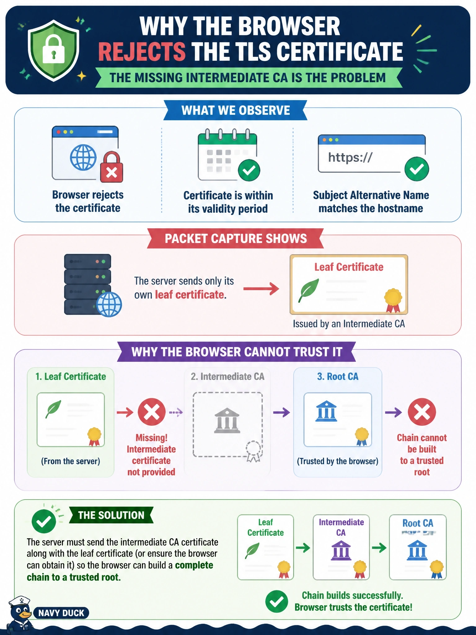 To Create an exciting colorful infographic that explains the concepts in the question: Question: Users' browsers reject a web server's TLS certificate even though it is within its validity period and its subject alternative name matches the hostname. Packet capture shows the server sends only its own leaf certificate, which was issued by an intermediate CA. What is the most likely cause? Correct Answer: The browser cannot build a chain to a trusted root because the issuing intermediate certificate is missing Put EVERY visible label in double quotes. No people. No A/B/C/D letters. In one of the four corners put a little "Navy Duck".