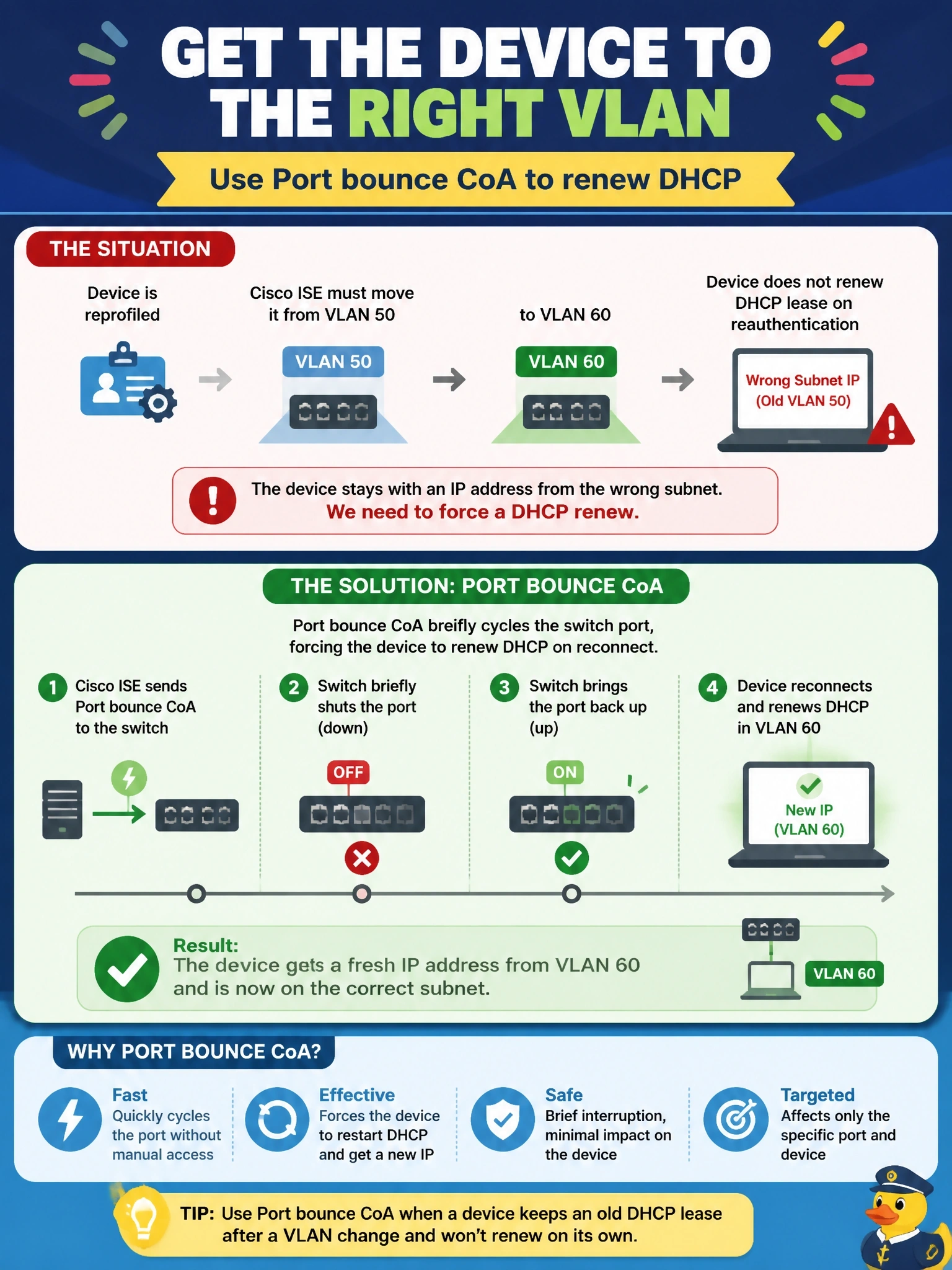To Create an exciting colorful infographic that explains the concepts in the question: Question: After a device is reprofiled, Cisco ISE must move it from VLAN 50 to VLAN 60. The device does not renew its DHCP lease on a reauthentication, so it keeps an address from the wrong subnet. Which CoA type should be used? Correct Answer: Port bounce CoA, which briefly cycles the port so the device renews DHCP Put EVERY visible label in double quotes. No people. No A/B/C/D letters. In one of the four corners put a little "Navy Duck".