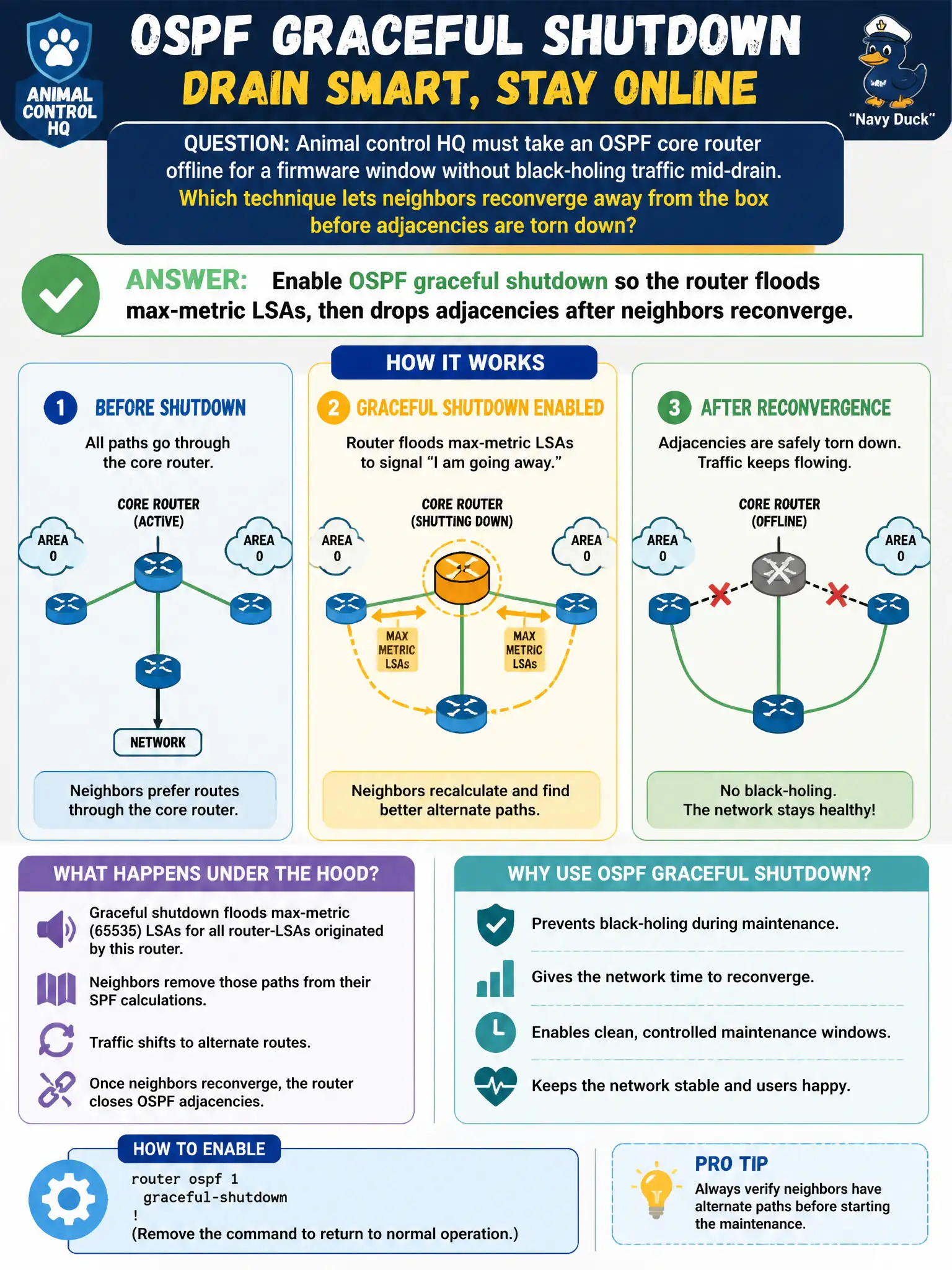 To Create an exciting colorful infographic that explains the concepts in the question: Question: Animal control HQ must take an OSPF core router offline for a firmware window without black-holing traffic mid-drain. Which technique lets neighbors reconverge away from the box before adjacencies are torn down? Correct Answer: Enable OSPF graceful shutdown so the router floods max-metric LSAs, then drops adjacencies after neighbors reconverge Put EVERY visible label in double quotes. No people. No A/B/C/D letters. In one of the four corners put a little "Navy Duck".