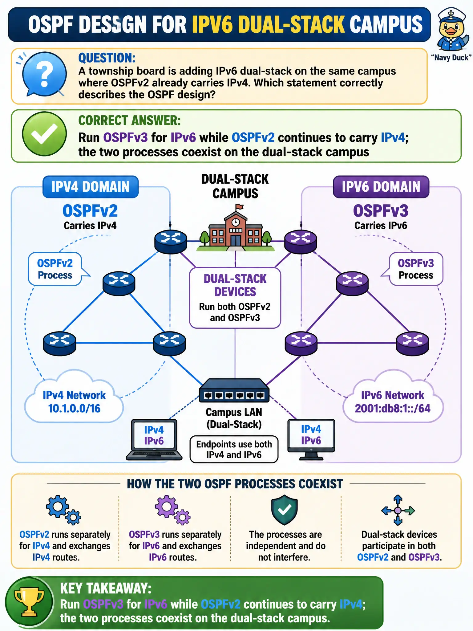To Create an exciting colorful infographic that explains the concepts in the question: Question: A township board is adding IPv6 dual-stack on the same campus where OSPFv2 already carries IPv4. Which statement correctly describes the OSPF design? Correct Answer: Run OSPFv3 for IPv6 while OSPFv2 continues to carry IPv4; the two processes coexist on the dual-stack campus Put EVERY visible label in double quotes. No people. No A/B/C/D letters. In one of the four corners put a little "Navy Duck".