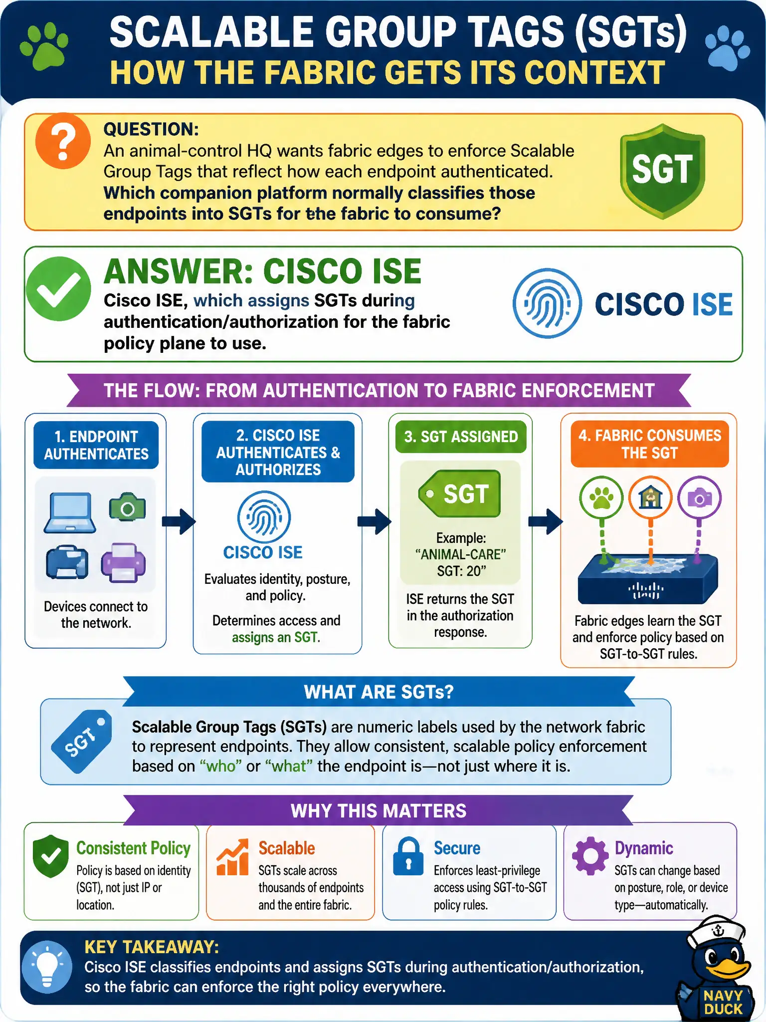 To Create an exciting colorful infographic that explains the concepts in the question: Question: An animal-control HQ wants fabric edges to enforce Scalable Group Tags that reflect how each endpoint authenticated. Which companion platform normally classifies those endpoints into SGTs for the fabric to consume? Correct Answer: Cisco ISE, which assigns SGTs during authentication/authorization for the fabric policy plane to use. Put EVERY visible label in double quotes. No people. No A/B/C/D letters. In one of the four corners put a little "Navy Duck".