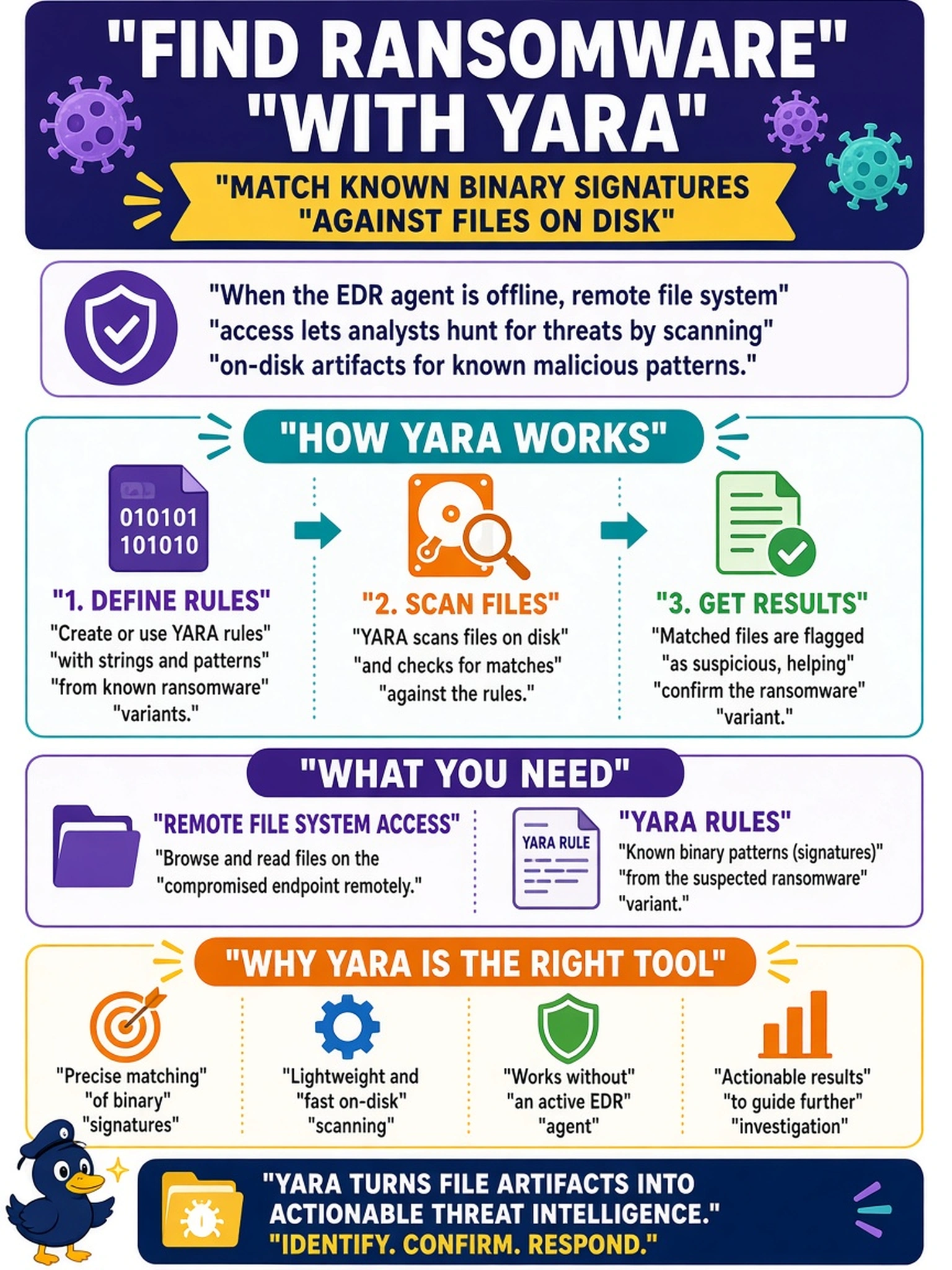 To Create an exciting colorful infographic that explains the concepts in the question: Question: An analyst suspects a specific ransomware variant is active on a compromised endpoint. The EDR agent is offline, but the analyst has remote access to the file system and wants to identify infected files by matching known binary signatures against on-disk artifacts. Which tool is most appropriate for this task? Correct Answer: YARA Put EVERY visible label in double quotes. No people. No A/B/C/D letters. In one of the four corners put a little "Navy Duck".