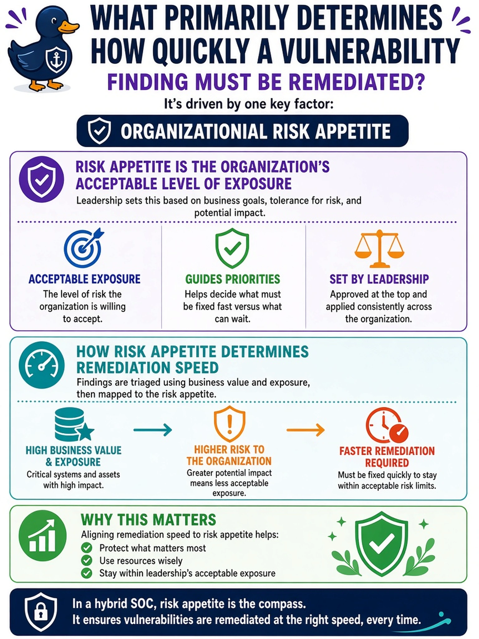 To Create an exciting colorful infographic that explains the concepts in the question: Question: A vulnerability analyst triages findings in a hybrid SOC. Some systems have higher business value and exposure. Leadership has approved a risk appetite statement for acceptable exposure. What primarily determines how quickly a vulnerability finding must be remediated? Correct Answer: Organizational risk appetite Put EVERY visible label in double quotes. No people. No A/B/C/D letters. In one of the four corners put a little "Navy Duck".