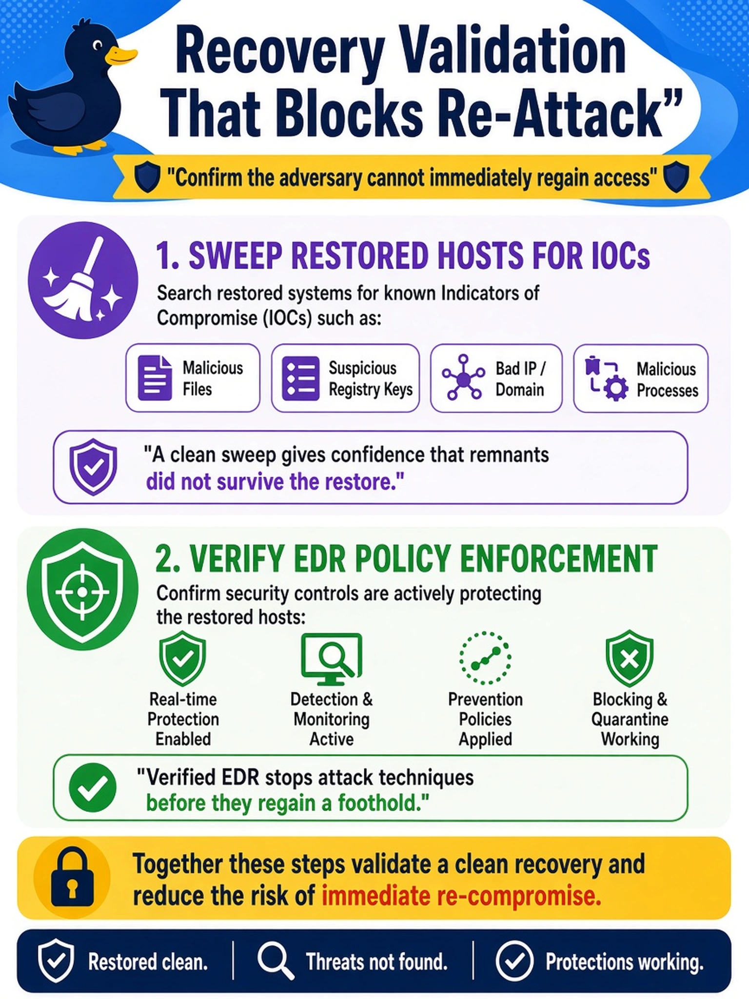 To Create an exciting colorful infographic that explains the concepts in the question: Question: After a ransomware incident, systems were wiped and restored from clean images. The IR lead needs recovery validation that confirms the adversary cannot immediately regain access. Which action best supports this validation? Correct Answer: Sweep restored hosts for IOCs and verify EDR policy enforcement. Put EVERY visible label in double quotes. No people. No A/B/C/D letters. In one of the four corners put a little "Navy Duck".
