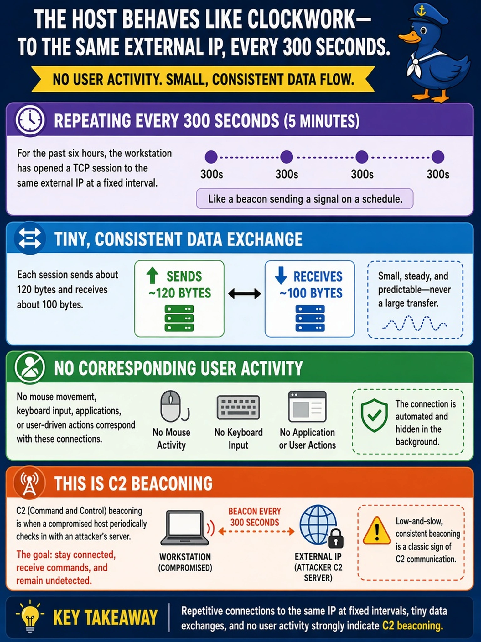 To Create an exciting colorful infographic that explains the concepts in the question: Question: A SOC analyst reviews NetFlow for a workstation. For the past six hours, the host has opened a TCP session to the same external IP every 300 seconds, sending about 120 bytes and receiving about 100 bytes, with no corresponding user activity. Which behavior is most strongly indicated? Correct Answer: C2 beaconing Put EVERY visible label in double quotes. No people. No A/B/C/D letters. In one of the four corners put a little "Navy Duck".
