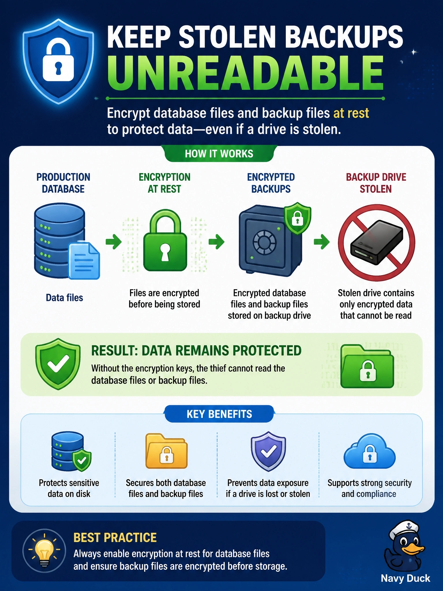 To Create an exciting colorful infographic that explains the concepts in the question: Question: A backup drive containing copies of a production database's data files and backup files is stolen from a courier vehicle. The data was not encrypted. Which control would have prevented the thief from reading the data? Correct Answer: Encryption at rest for the database files together with encrypted backup files Put EVERY visible label in double quotes. No people. No A/B/C/D letters. In one of the four corners put a little "Navy Duck".