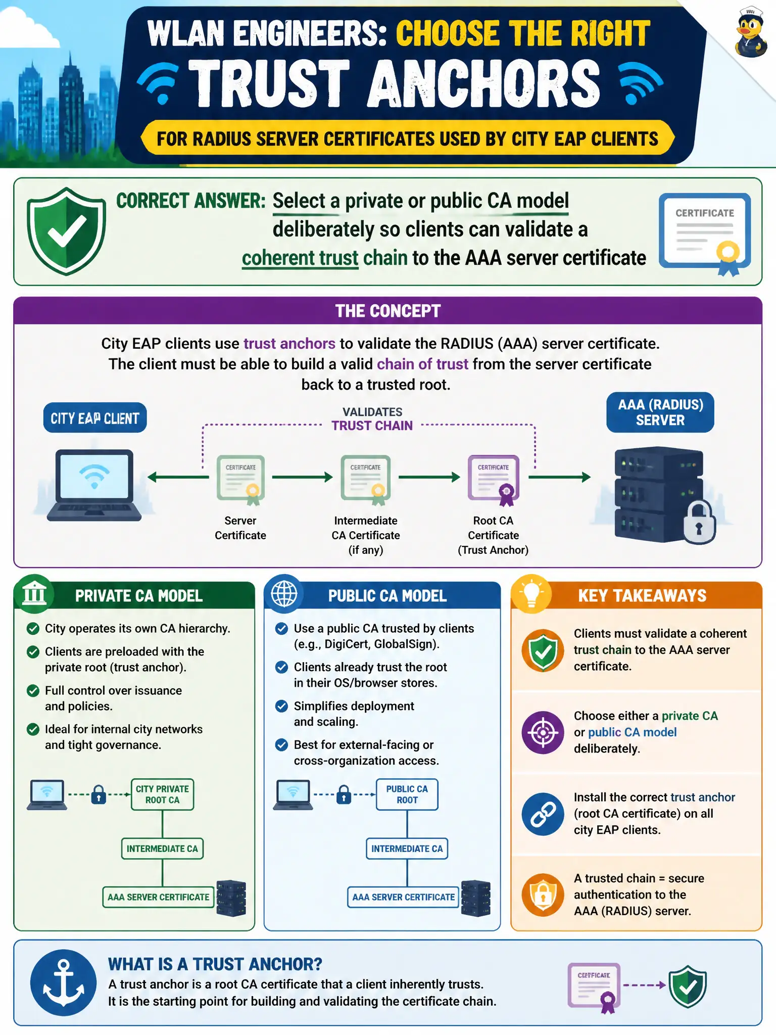 To Create an exciting colorful infographic that explains the concepts in the question: Question: WLAN engineers must choose trust anchors for RADIUS server certificates used by city EAP clients. Which design choice is most accurate? Correct Answer: Select a private or public CA model deliberately so clients can validate a coherent trust chain to the AAA server certificate Put EVERY visible label in double quotes. No people. No A/B/C/D letters. In one of the four corners put a little "Navy Duck".