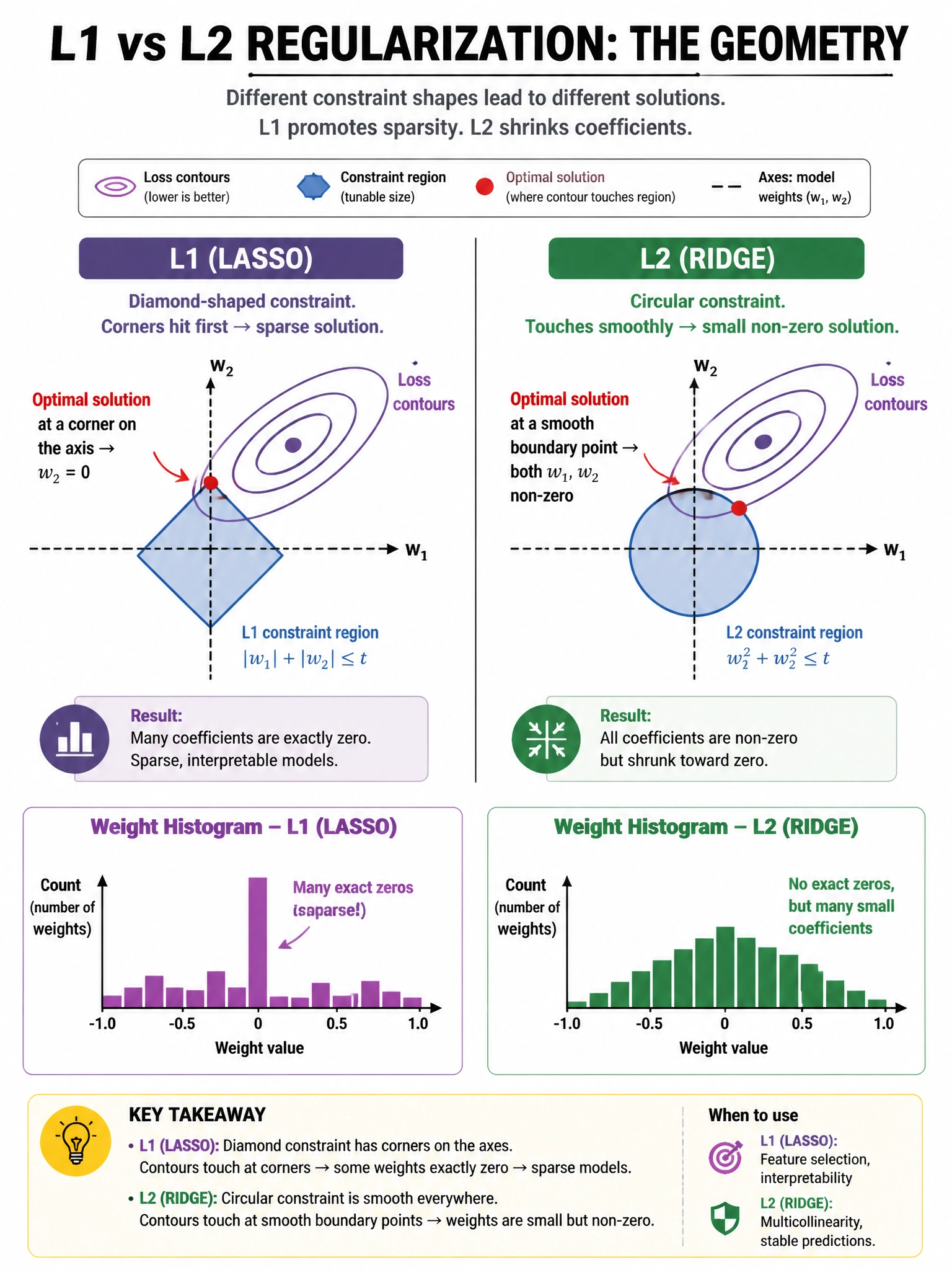 Infographic 1024x768 showing L1 vs L2 regularization geometry: two panels. Left 'L1 (Lasso)': diamond-shaped constraint region with corners on axes, elliptical loss contour touching at axis corner → w2=0 (sparse solution). Right 'L2 (Ridge)': circular constraint region, smooth everywhere, loss contour touching at interior point → both weights non-zero but small. Weight histograms below each showing L1 has many zeros, L2 has small non-zeros.