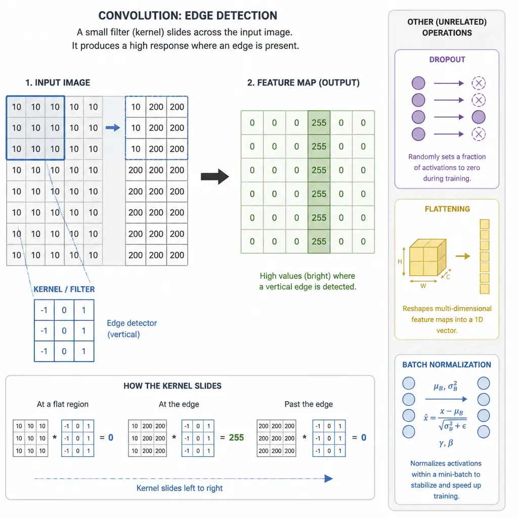 Diagram of a small filter/kernel sliding across an input image grid, producing a feature map that lights up where a pattern like an edge is detected, with side icons distinguishing dropout, flattening, and batch normalization as unrelated operations.