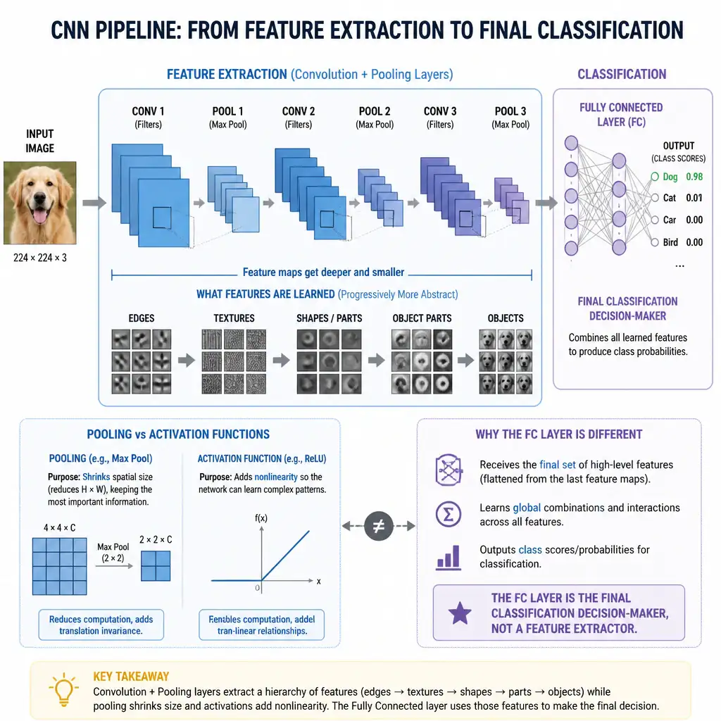 Diagram of a CNN pipeline showing convolution and pooling layers extracting features (edges, textures, shapes) on the left, flowing into a fully connected layer on the right labeled as the final classification decision-maker, contrasted with a callout distinguishing pooling (shrinks size) and activation functions (adds nonlinearity) from the FC layer's role.
